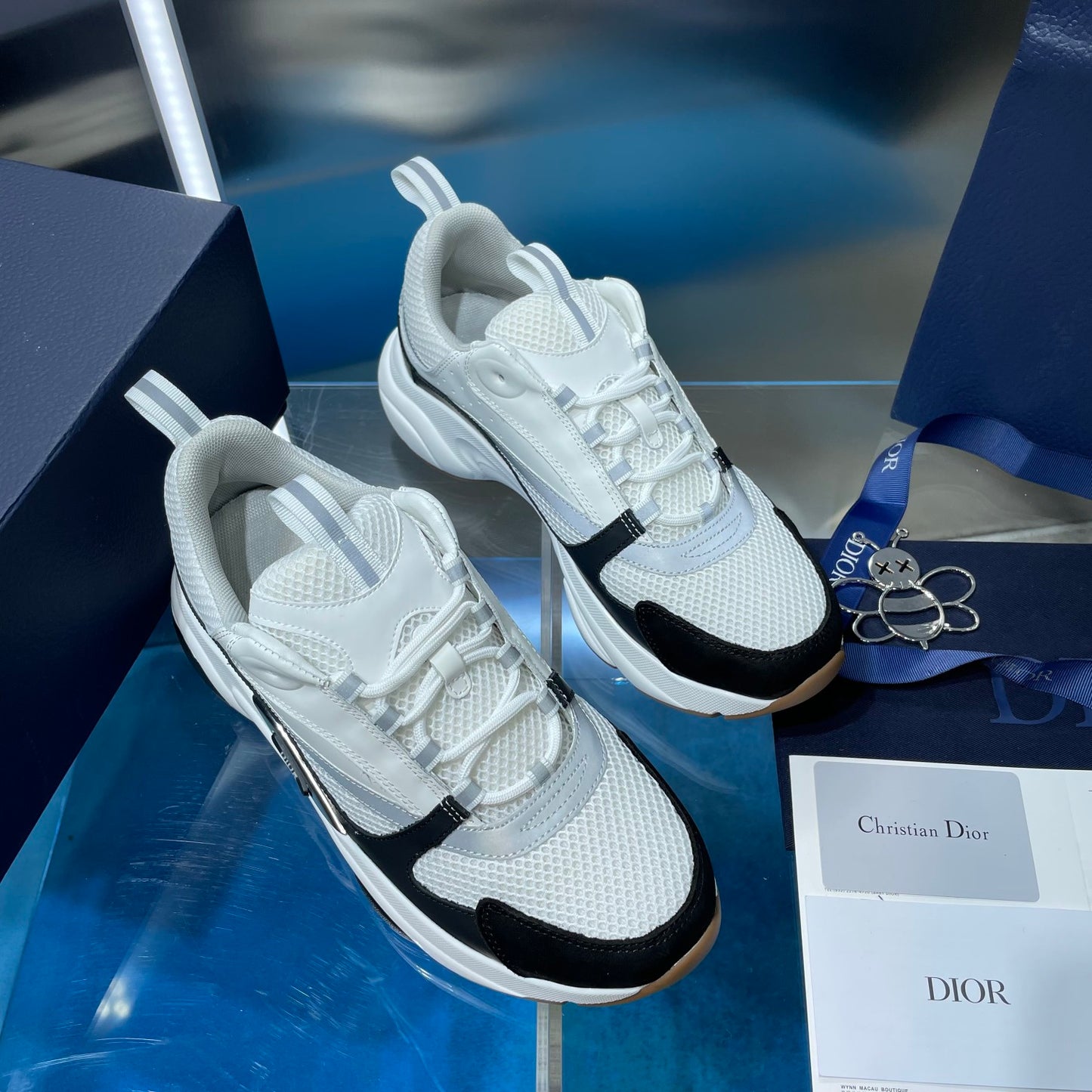 Dior b22