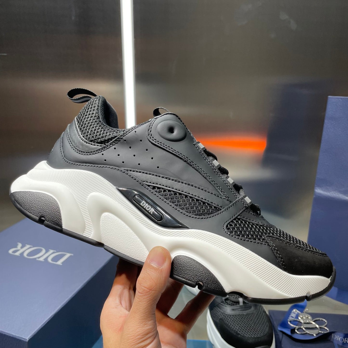 Dior b22