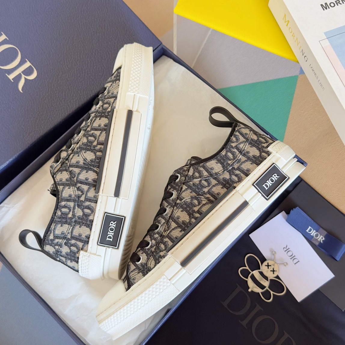 Dior b23