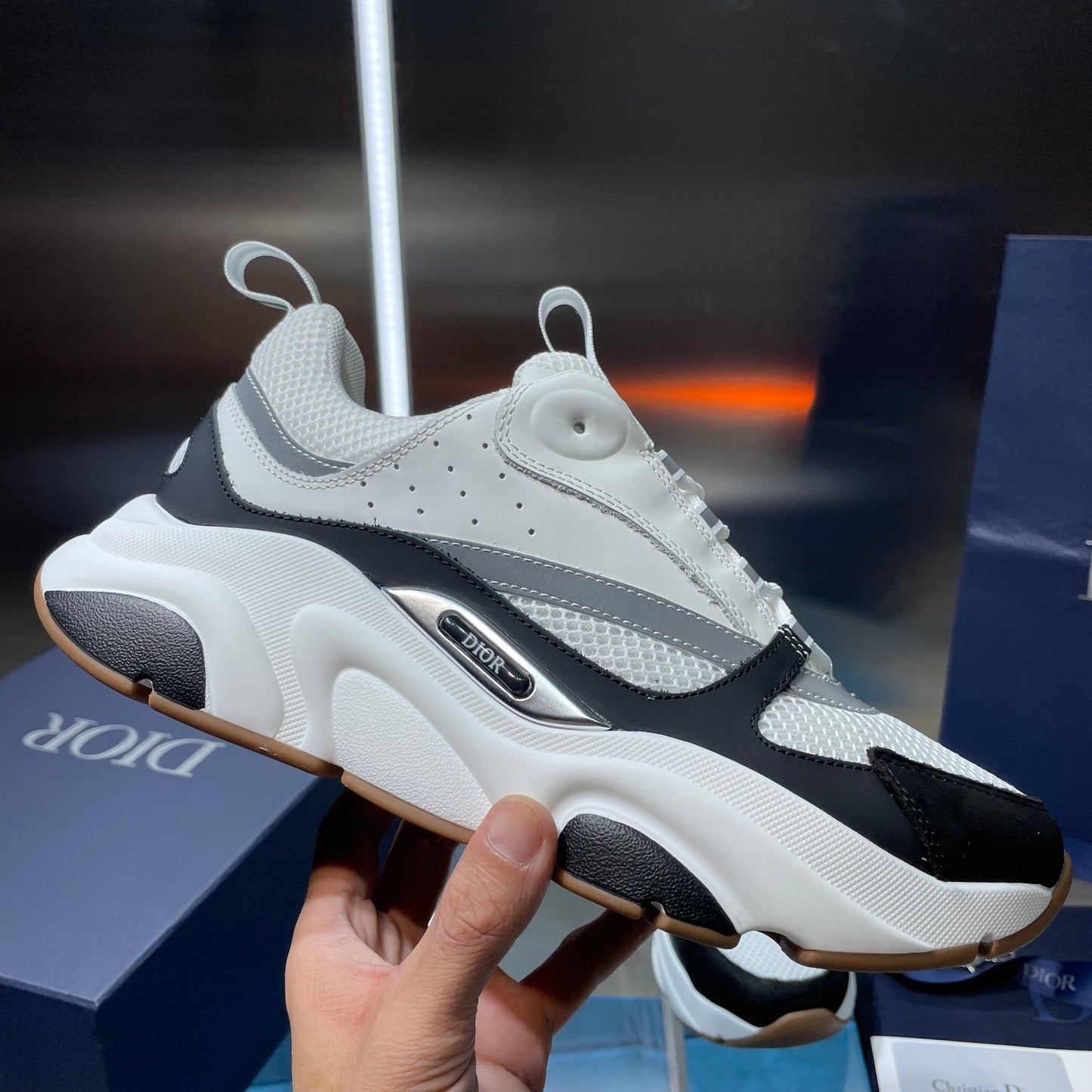Dior b22