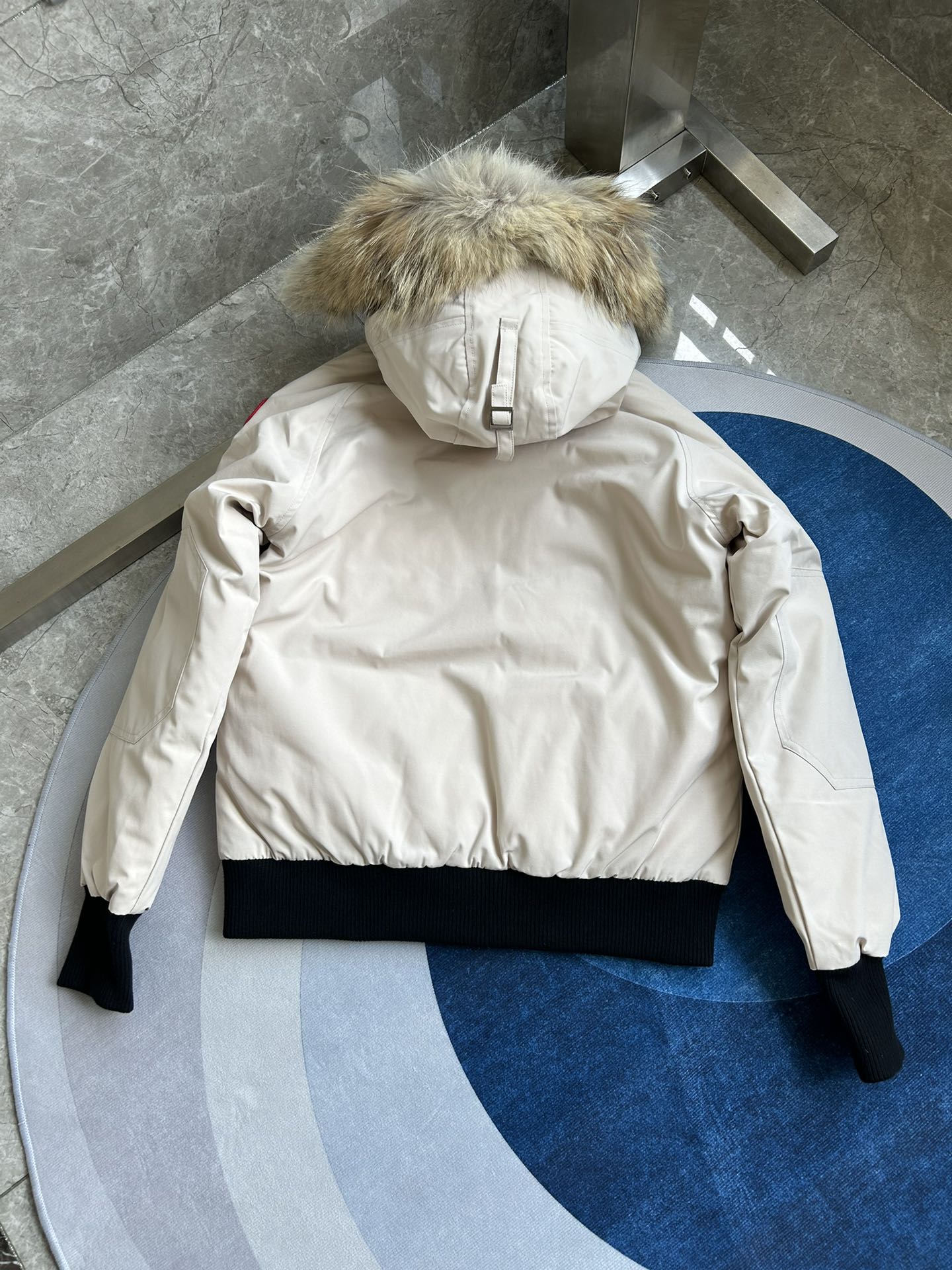 Canada Goose