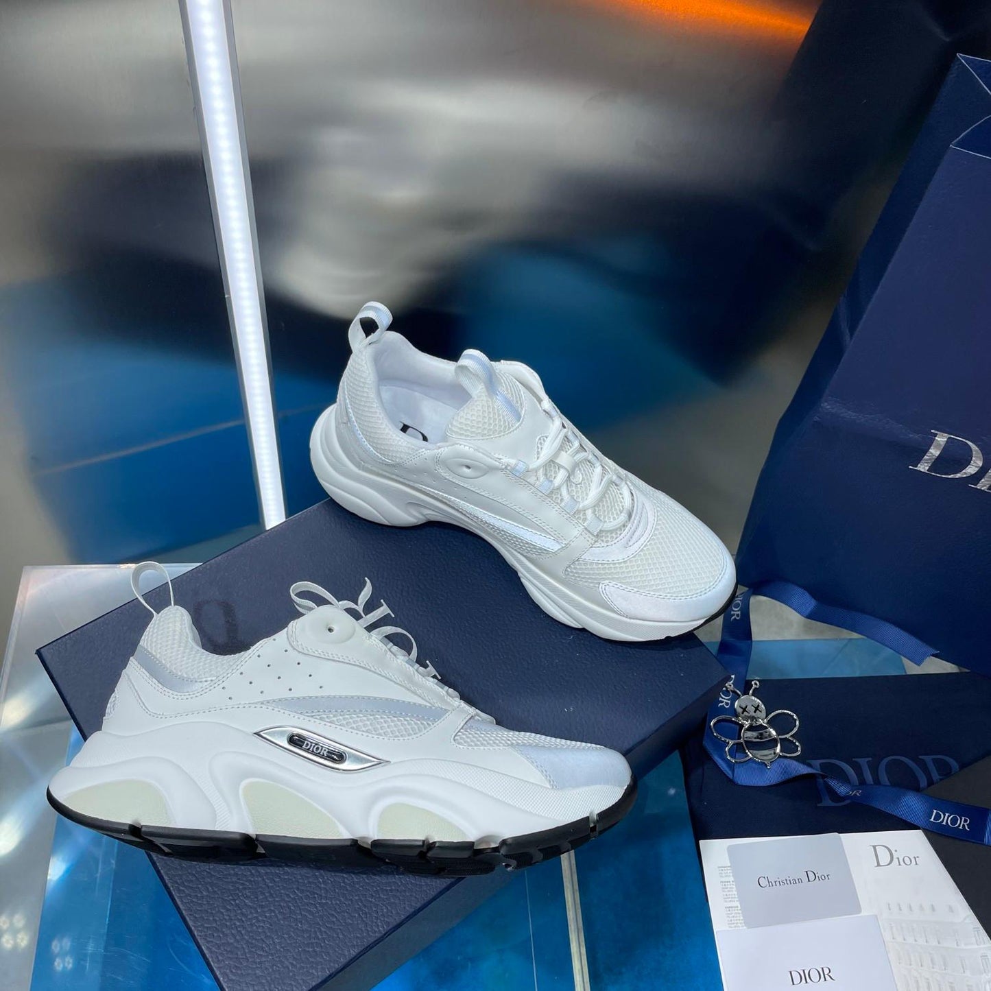 Dior b22