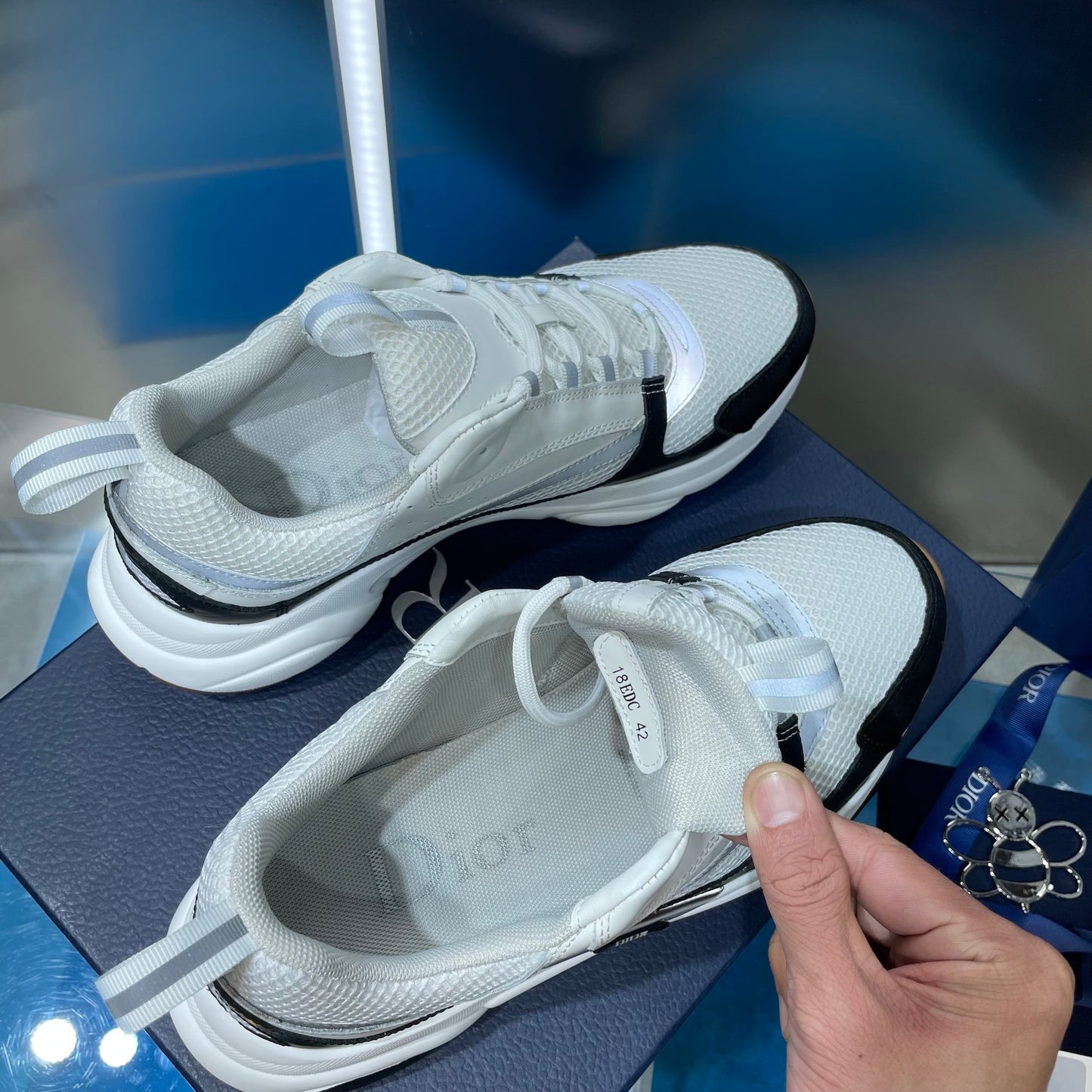 Dior b22