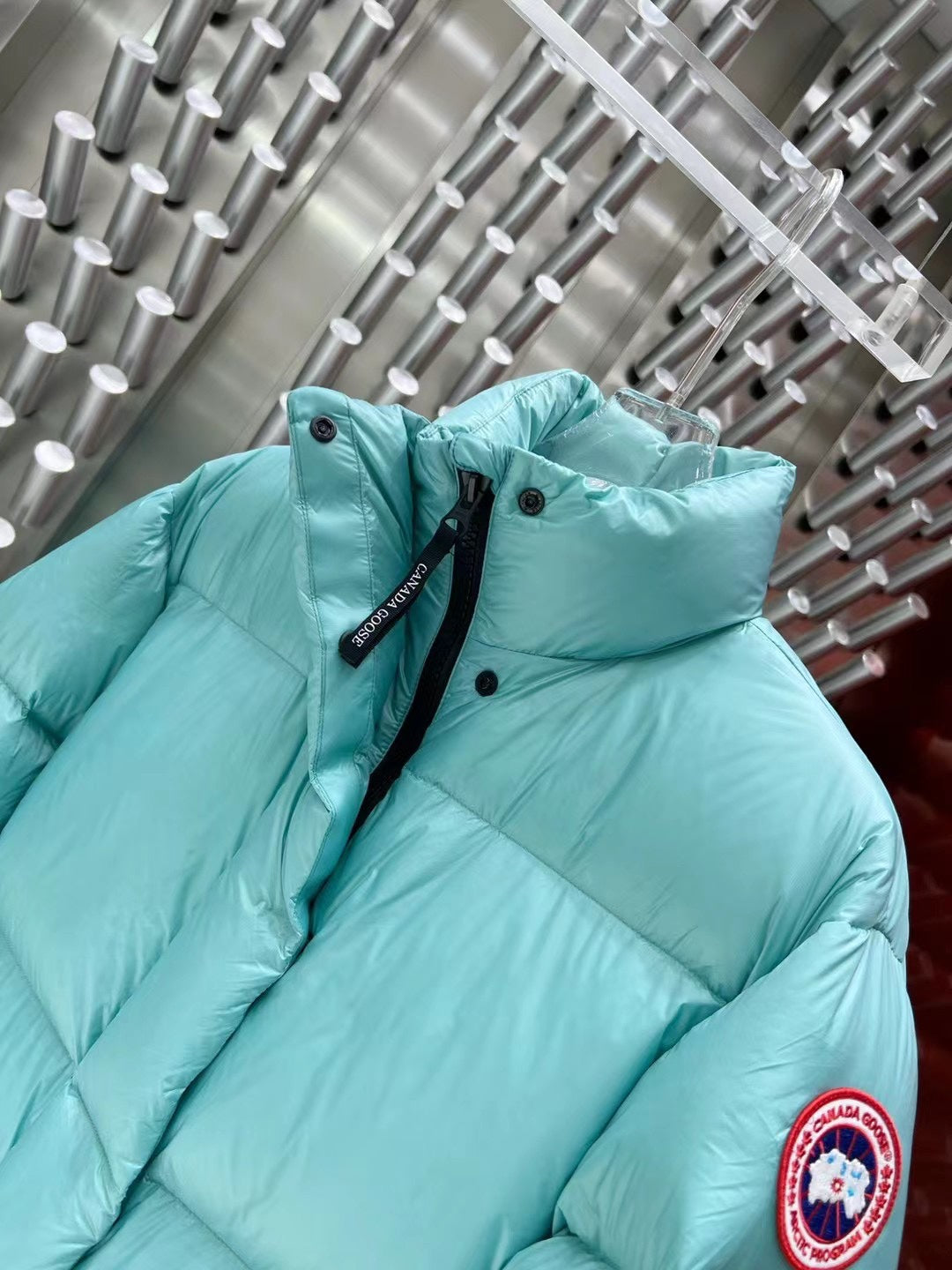 Canada Goose