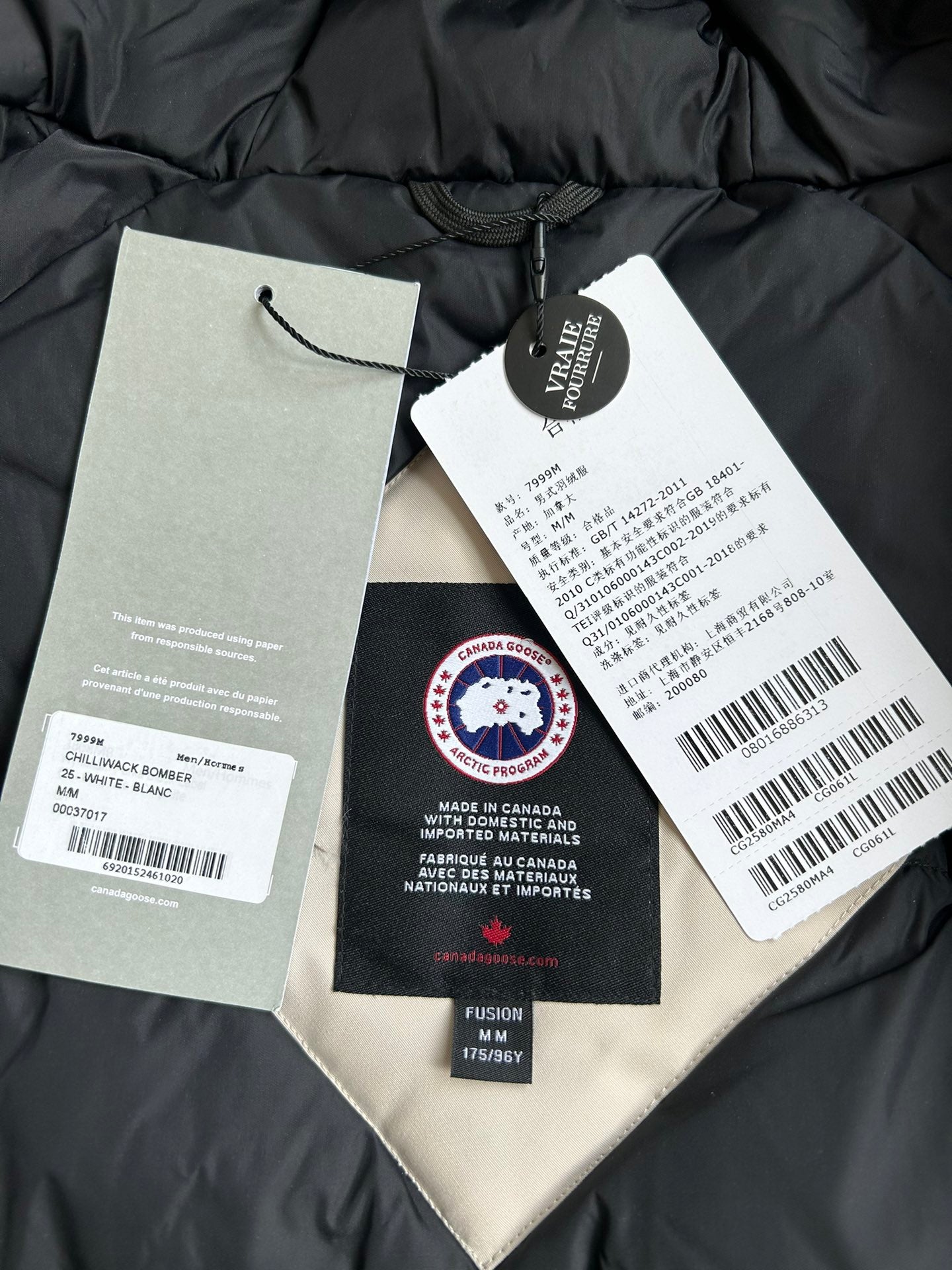 Canada Goose