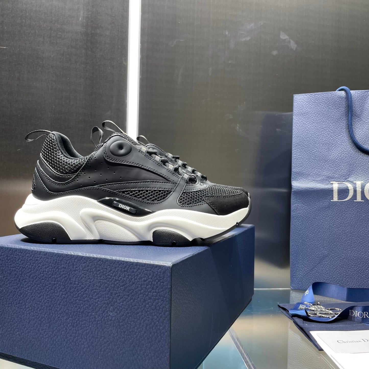 Dior b22