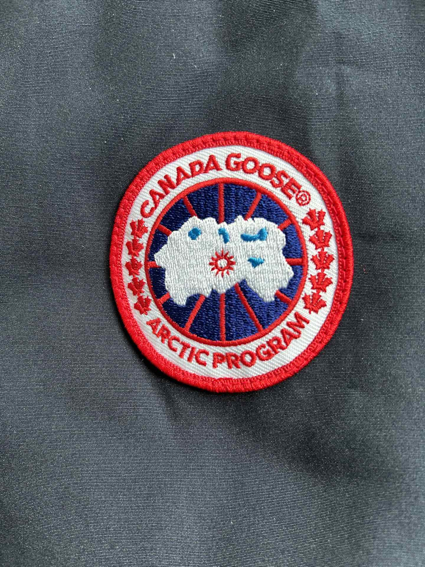 Canada Goose