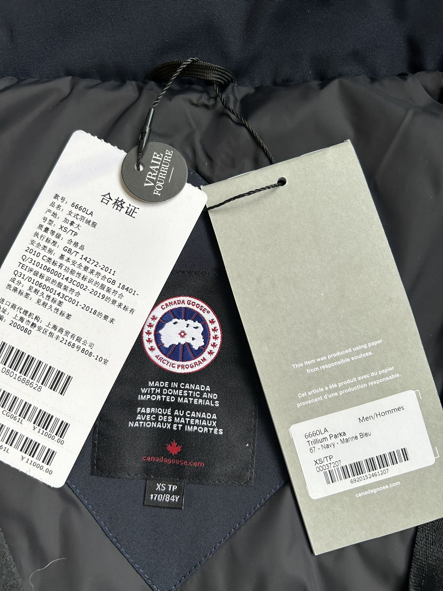 Canada Goose