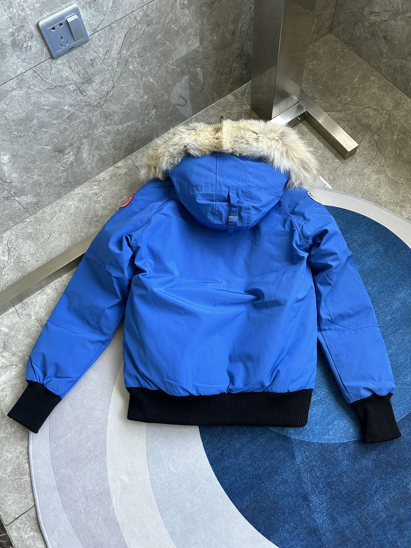 Canada Goose