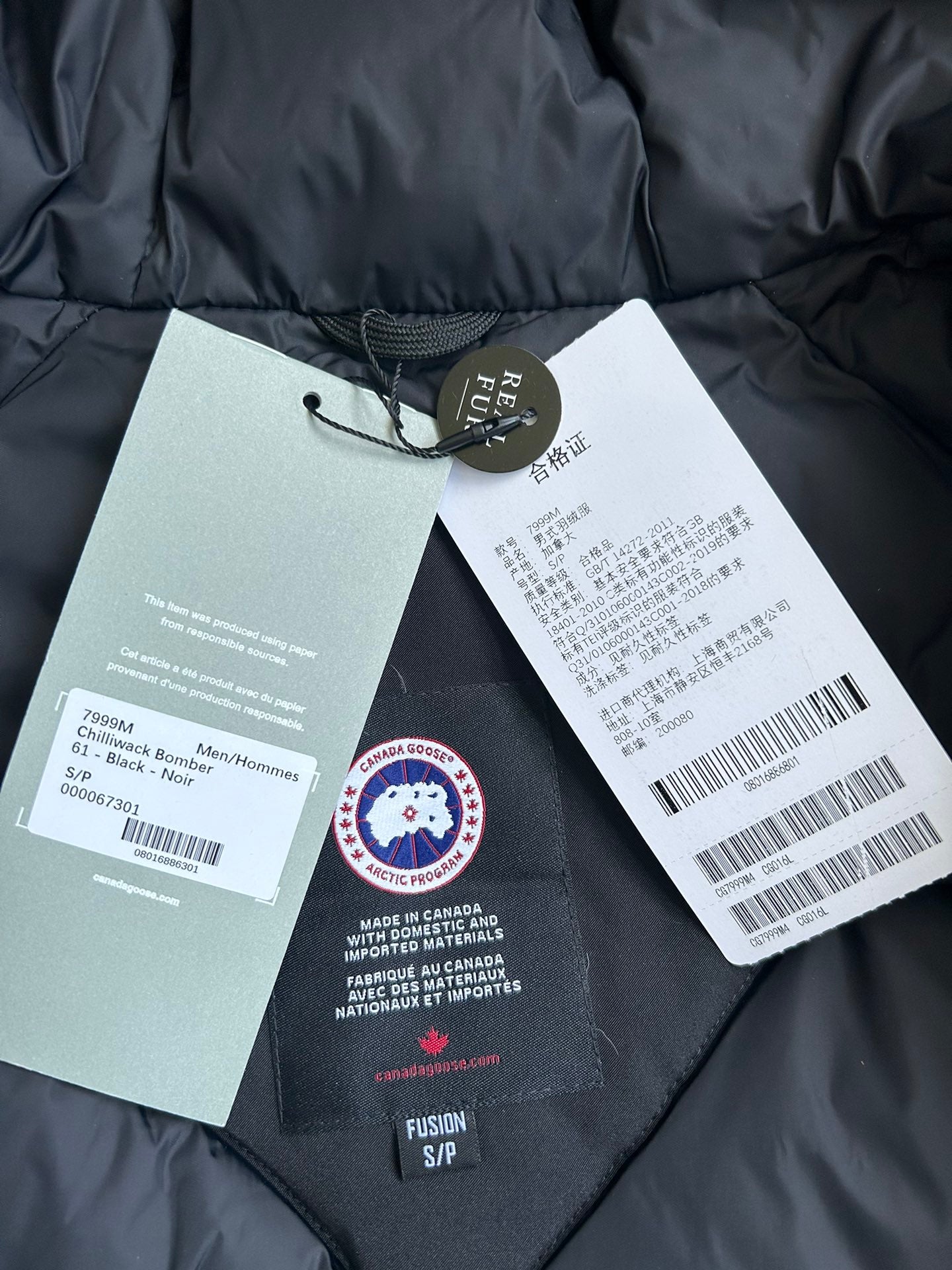 Canada Goose