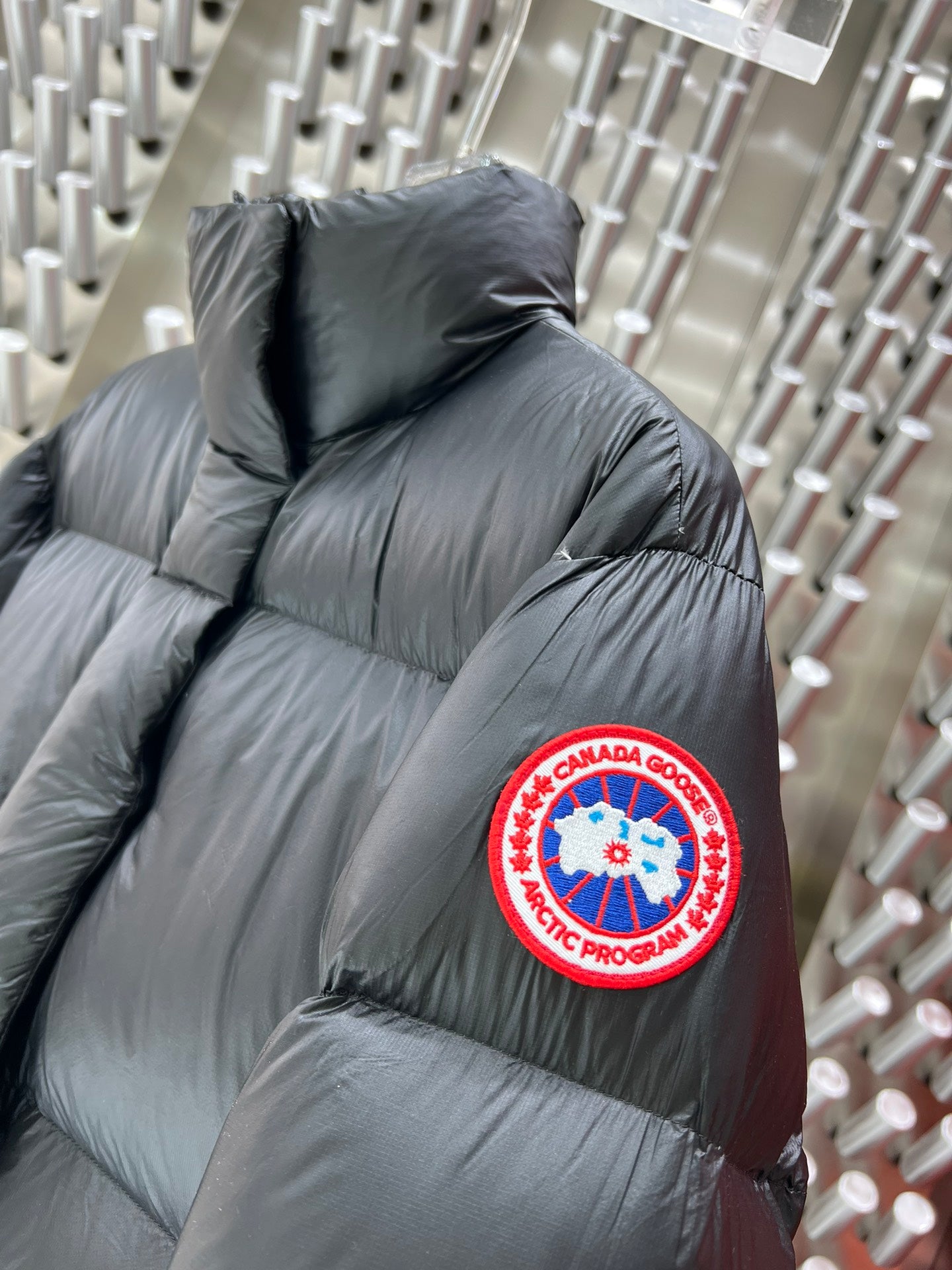 Canada Goose