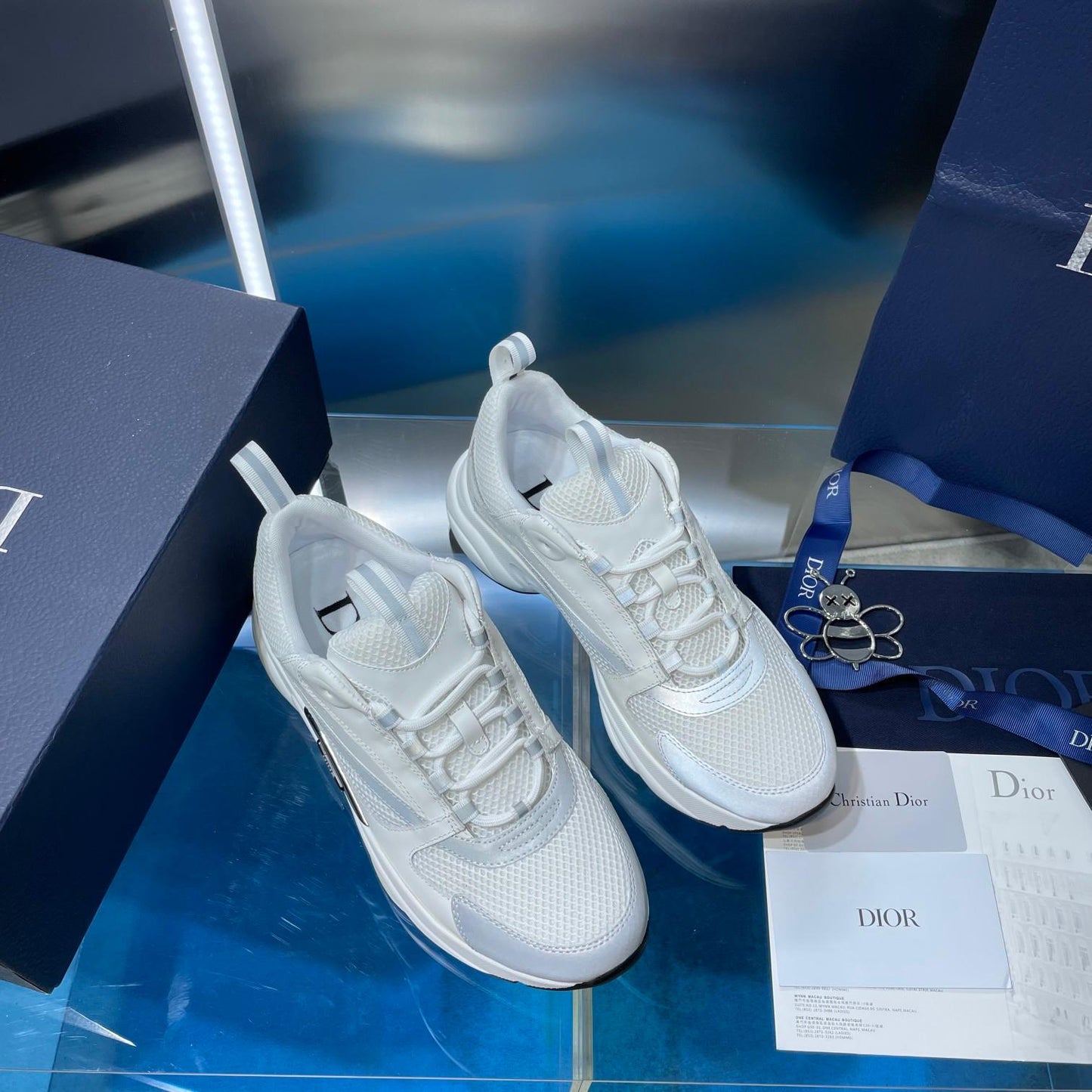 Dior b22