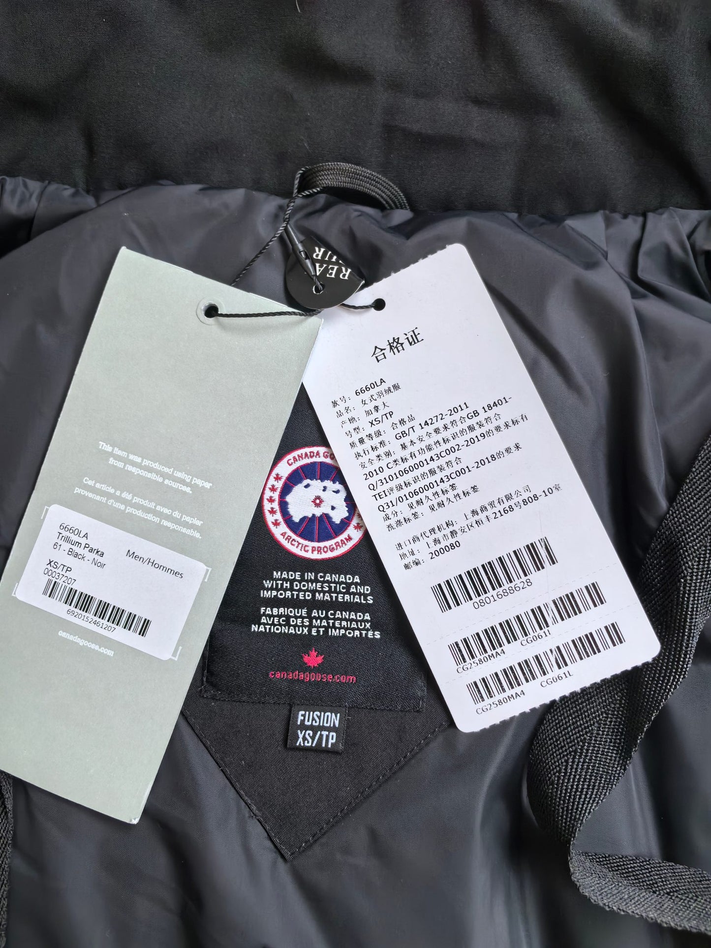 Canada Goose