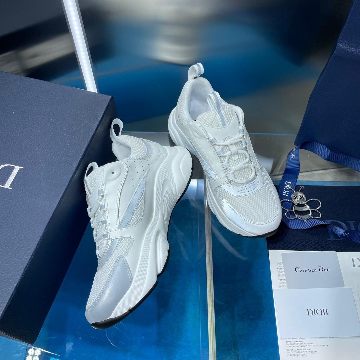 Dior b22
