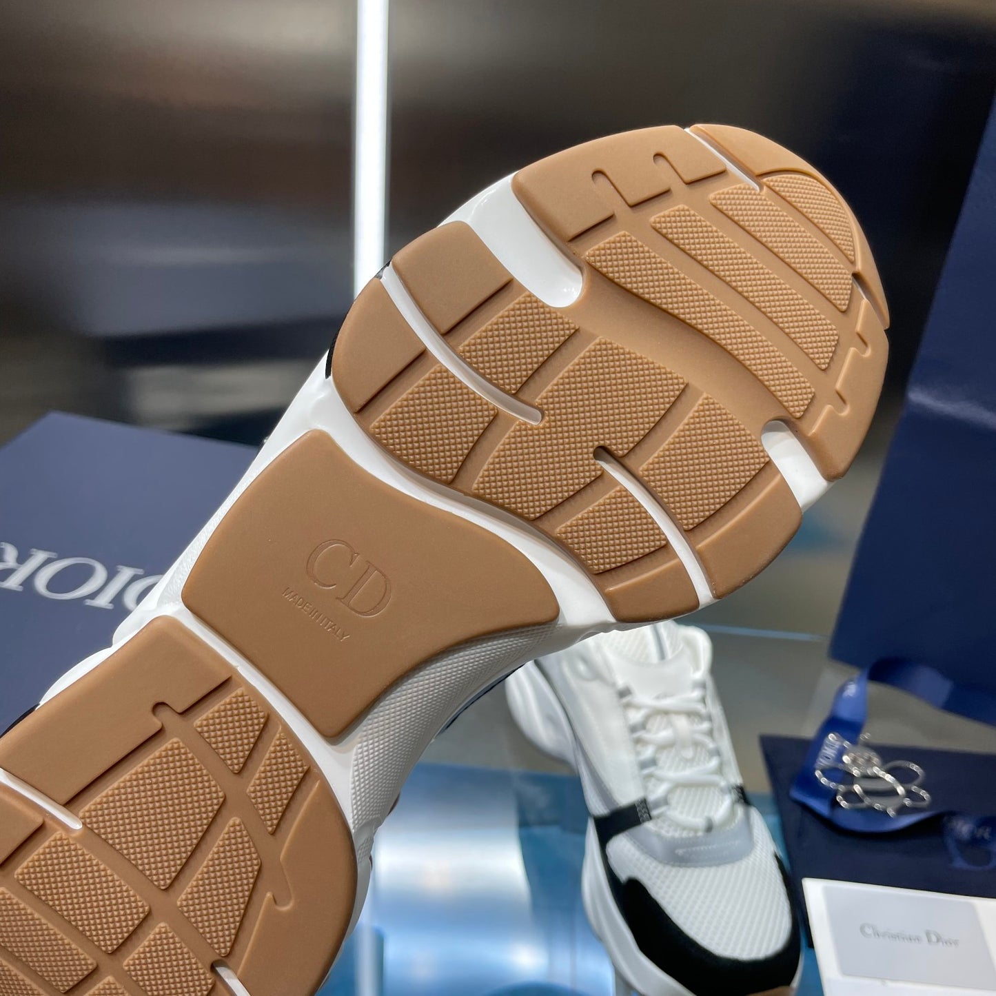 Dior b22