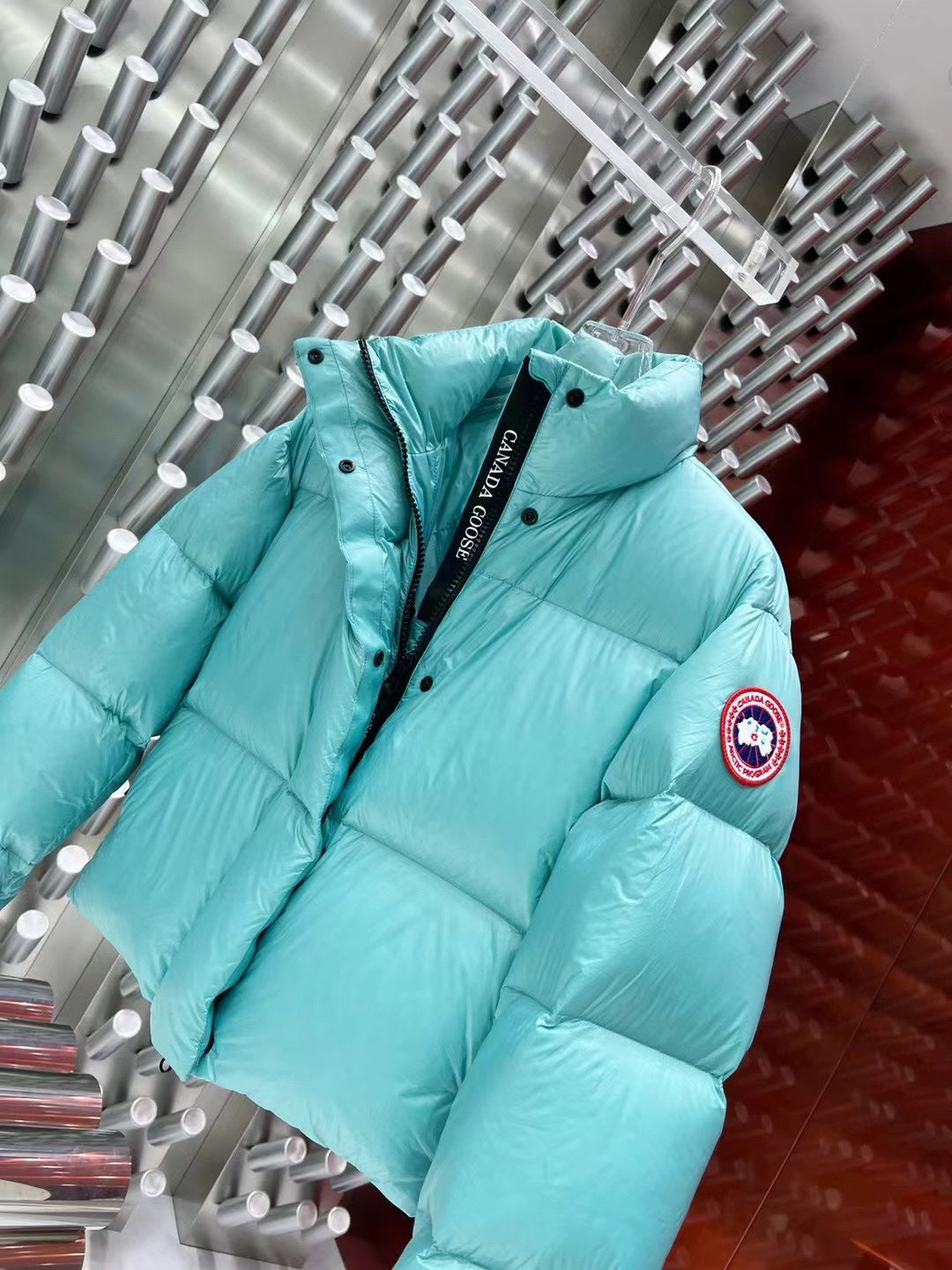Canada Goose