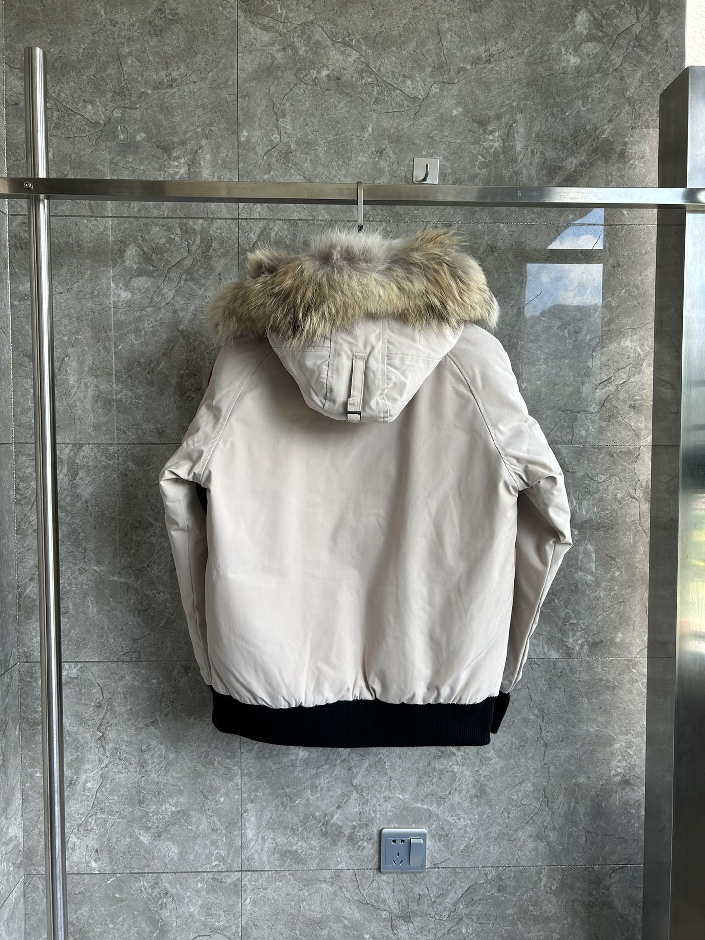 Canada Goose