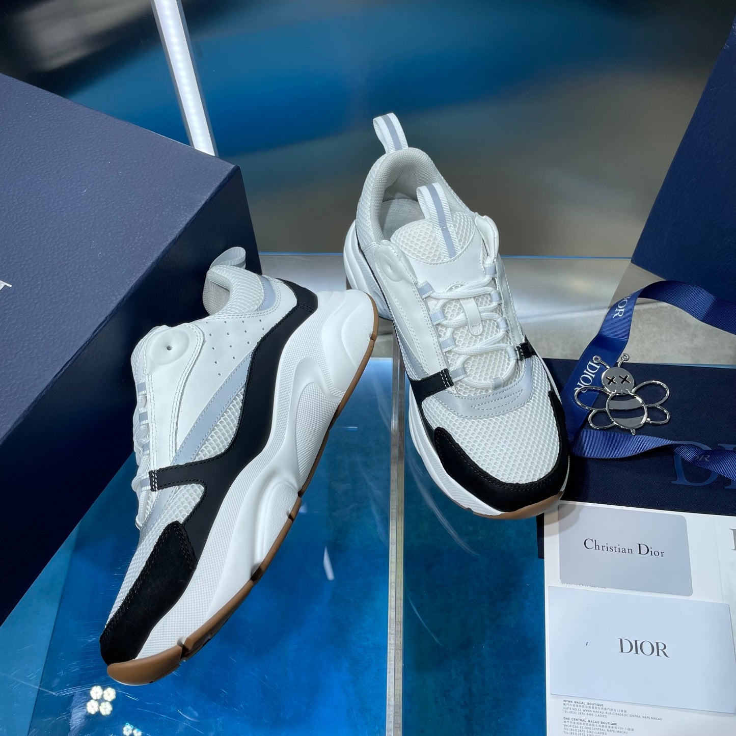Dior b22