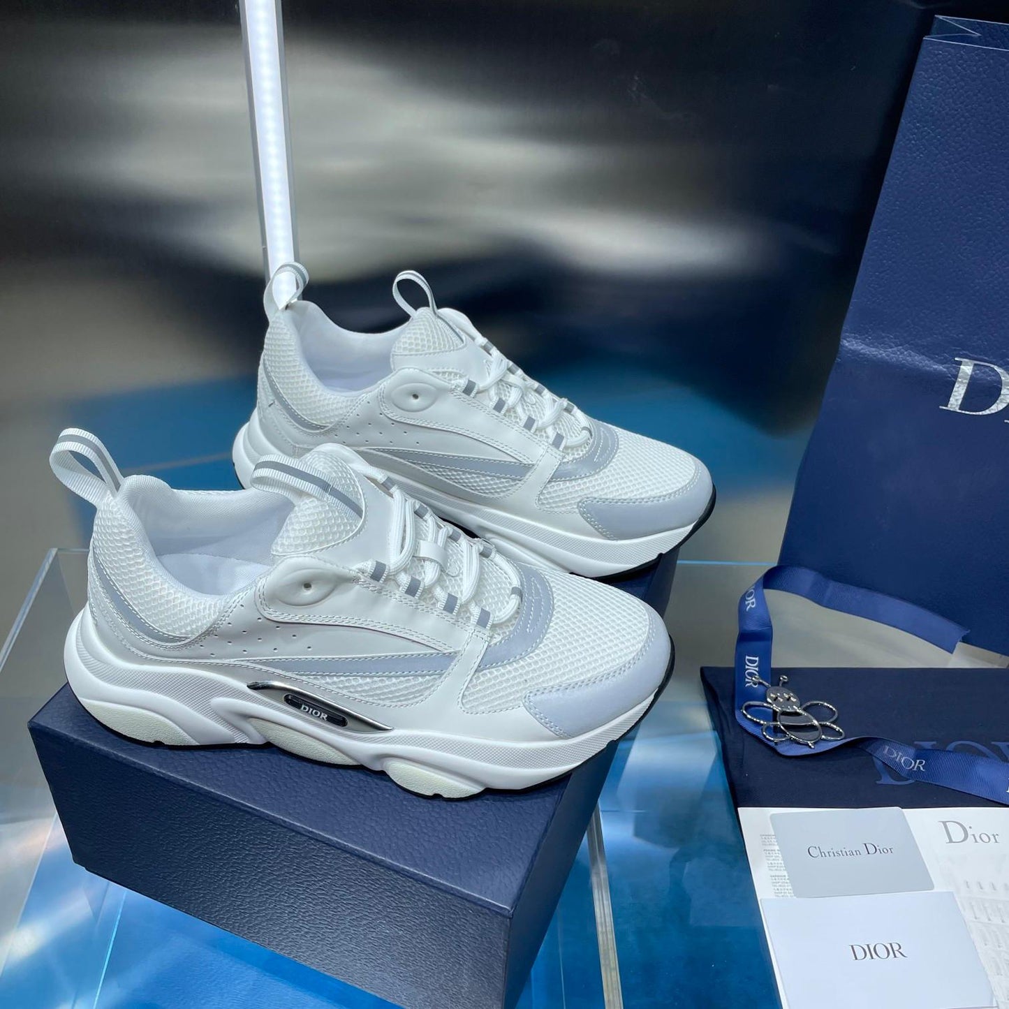 Dior b22