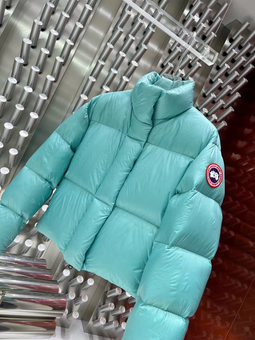 Canada Goose