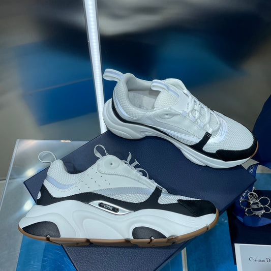 Dior b22