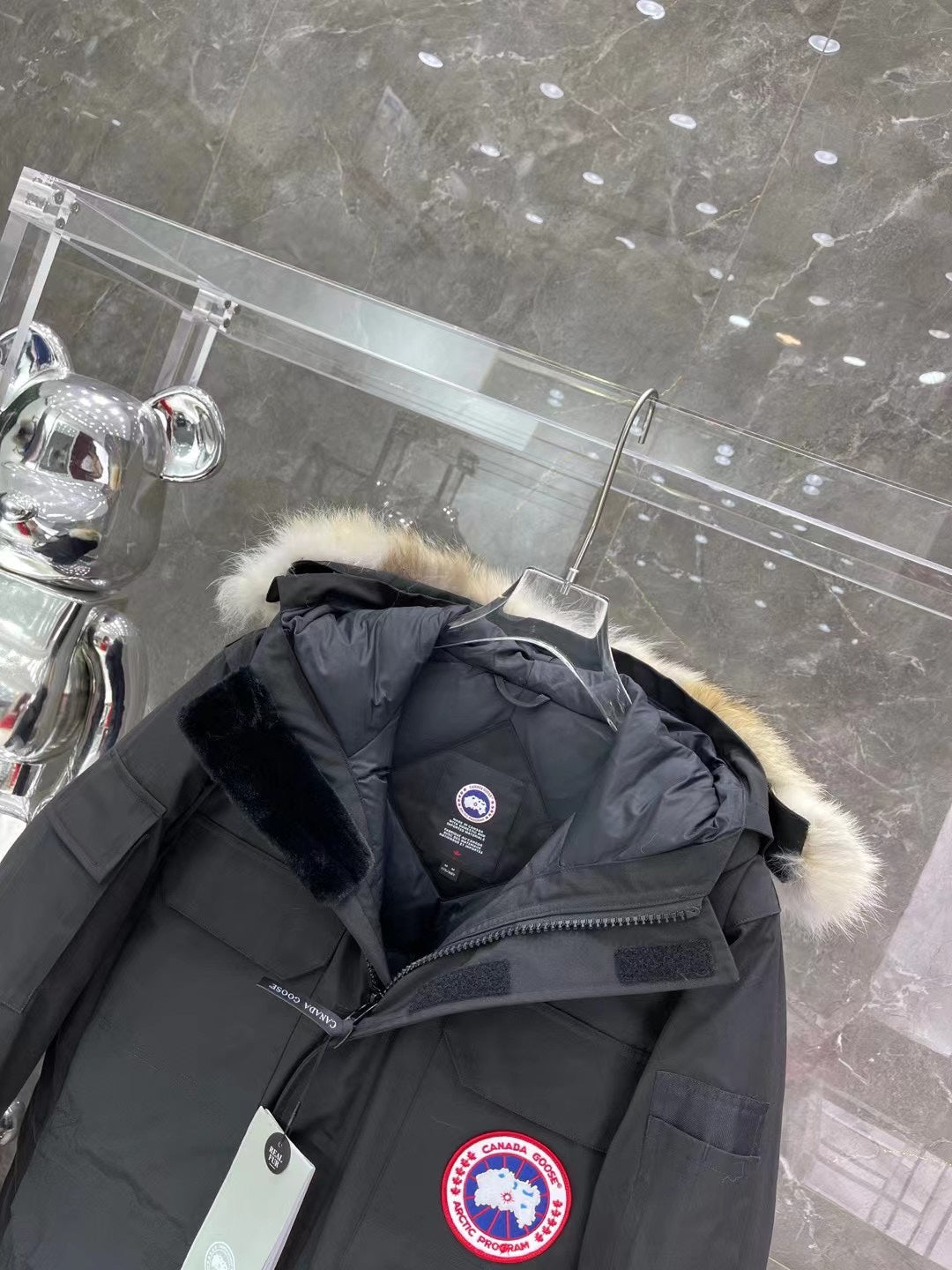 Canada Goose