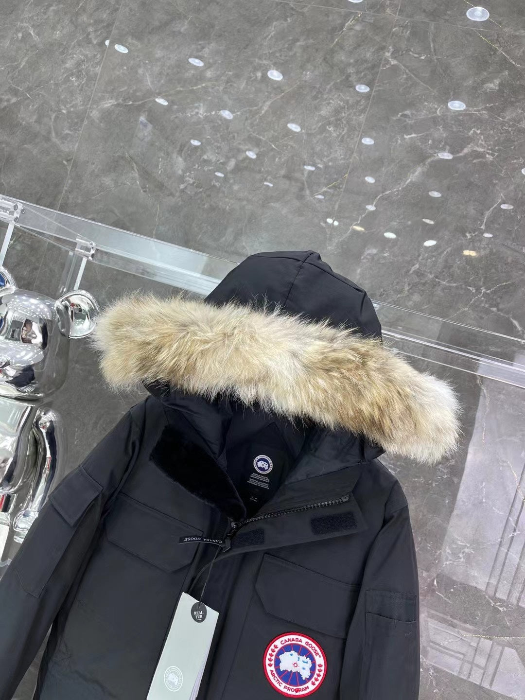 Canada Goose