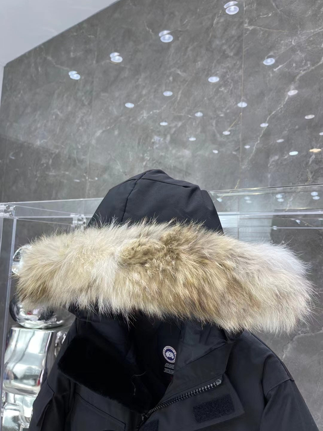 Canada Goose