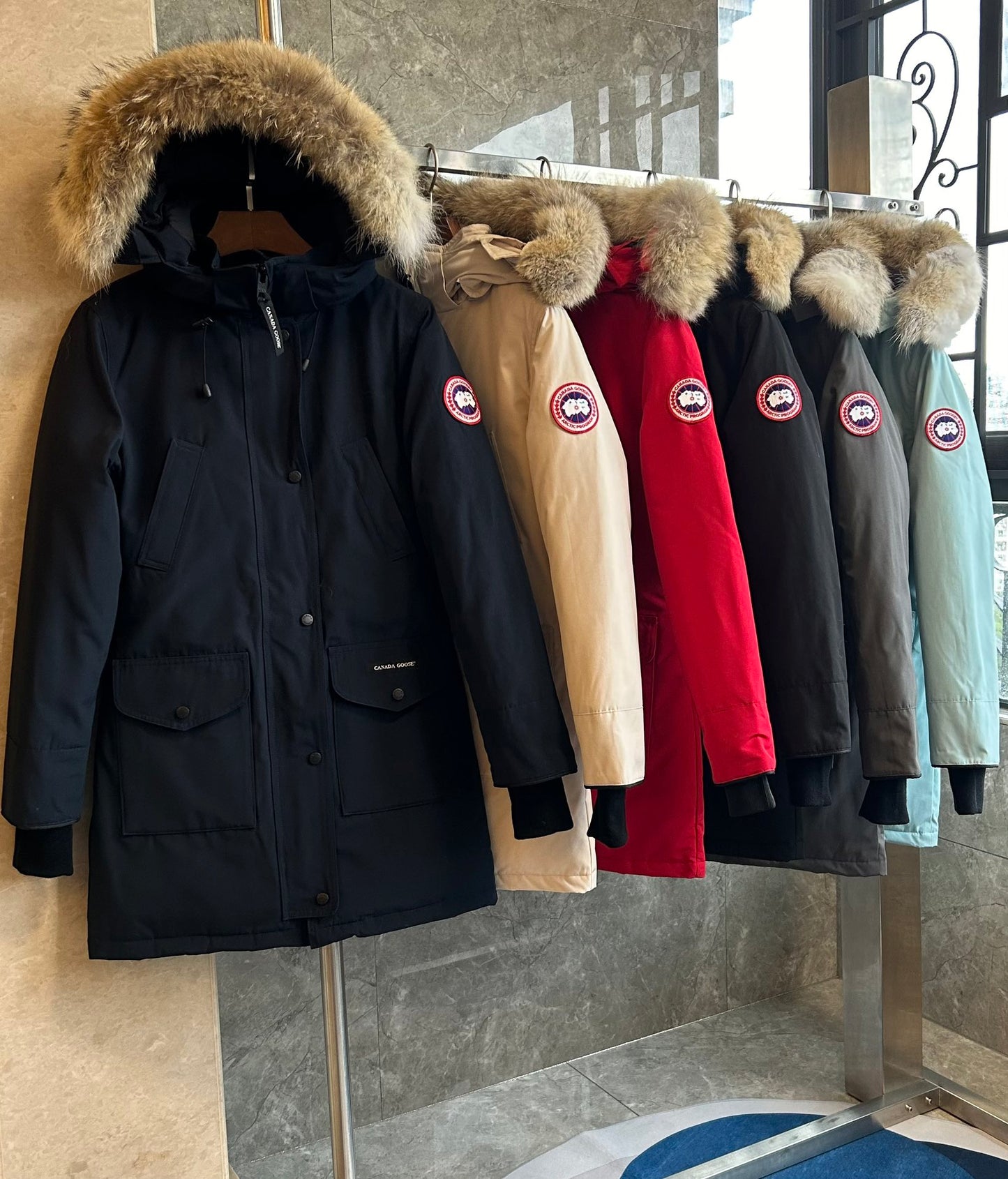Canada Goose