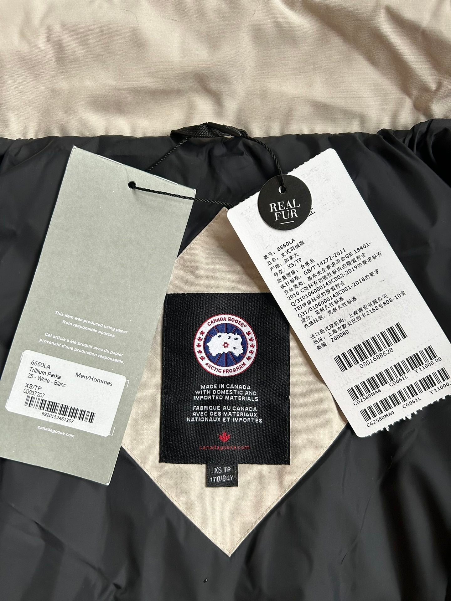 Canada Goose