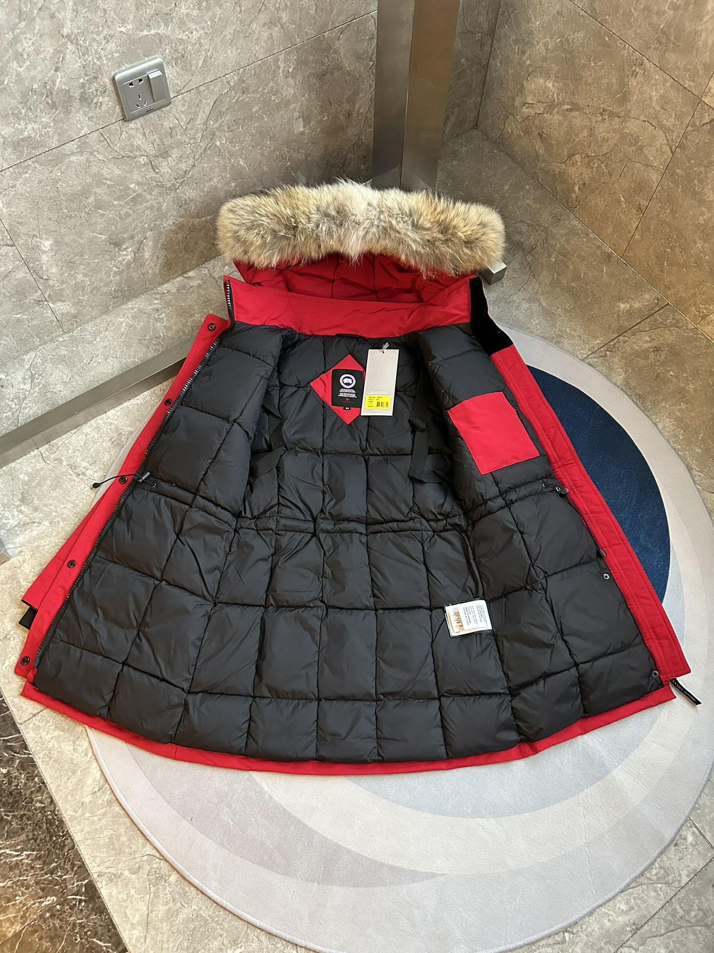Canada Goose