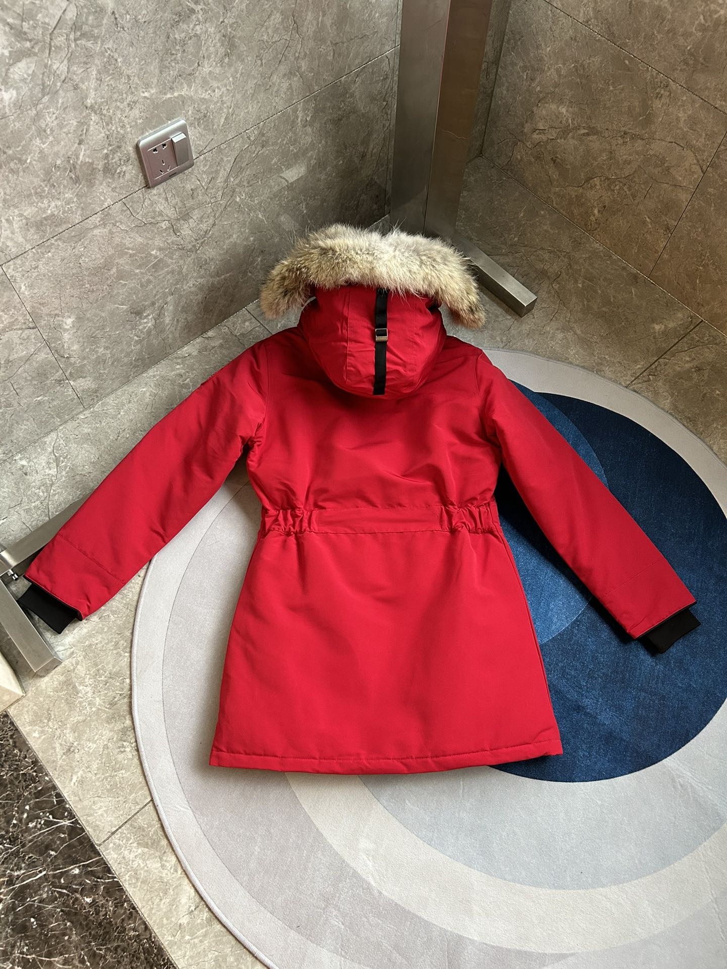 Canada Goose