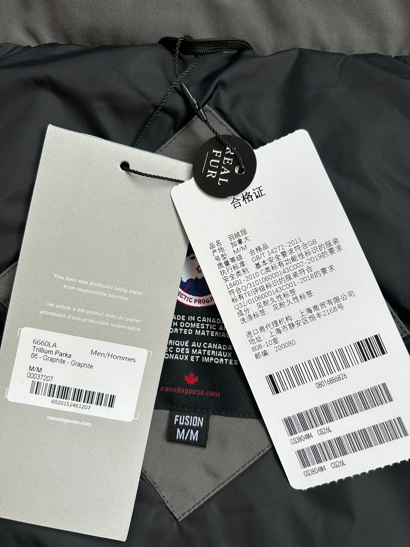 Canada Goose