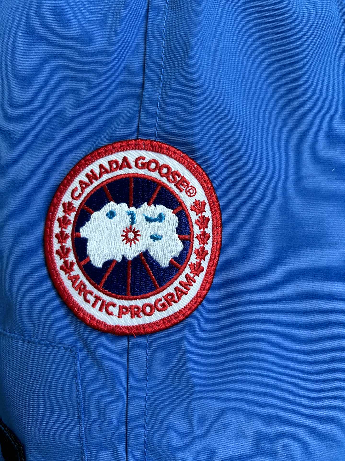 Canada Goose