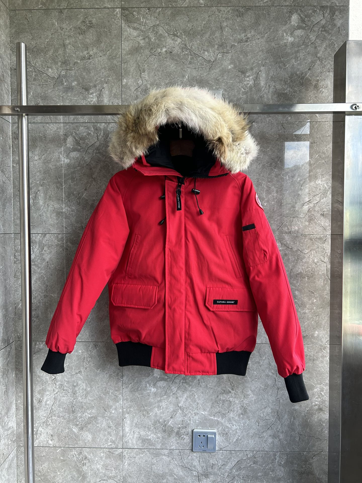 Canada Goose