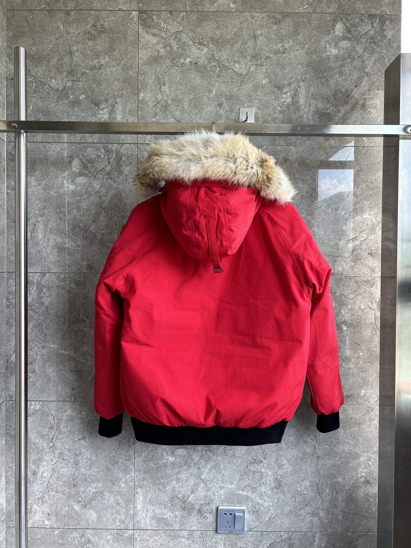 Canada Goose