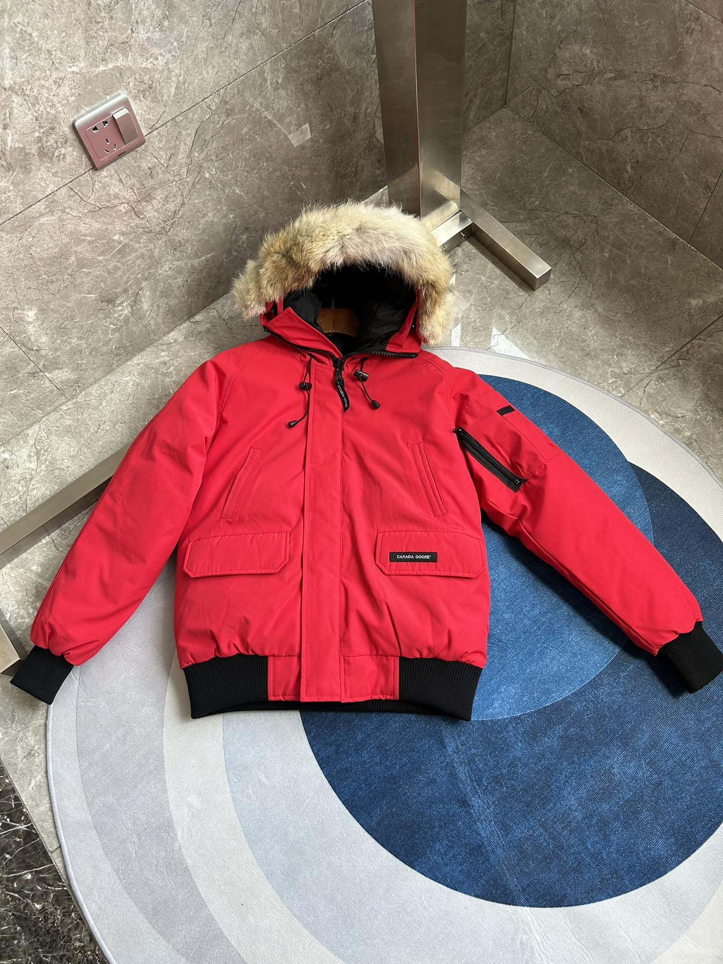 Canada Goose
