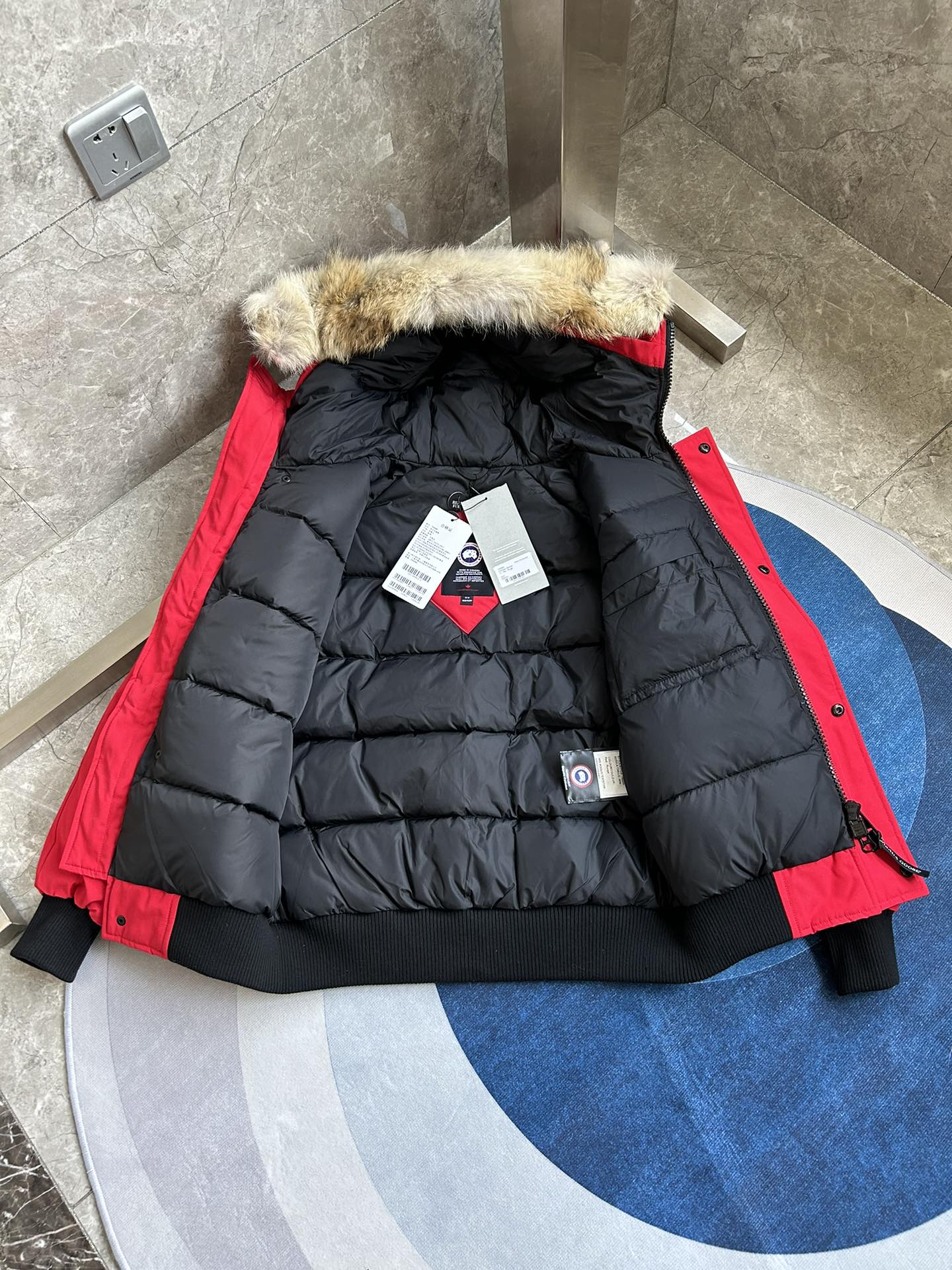 Canada Goose