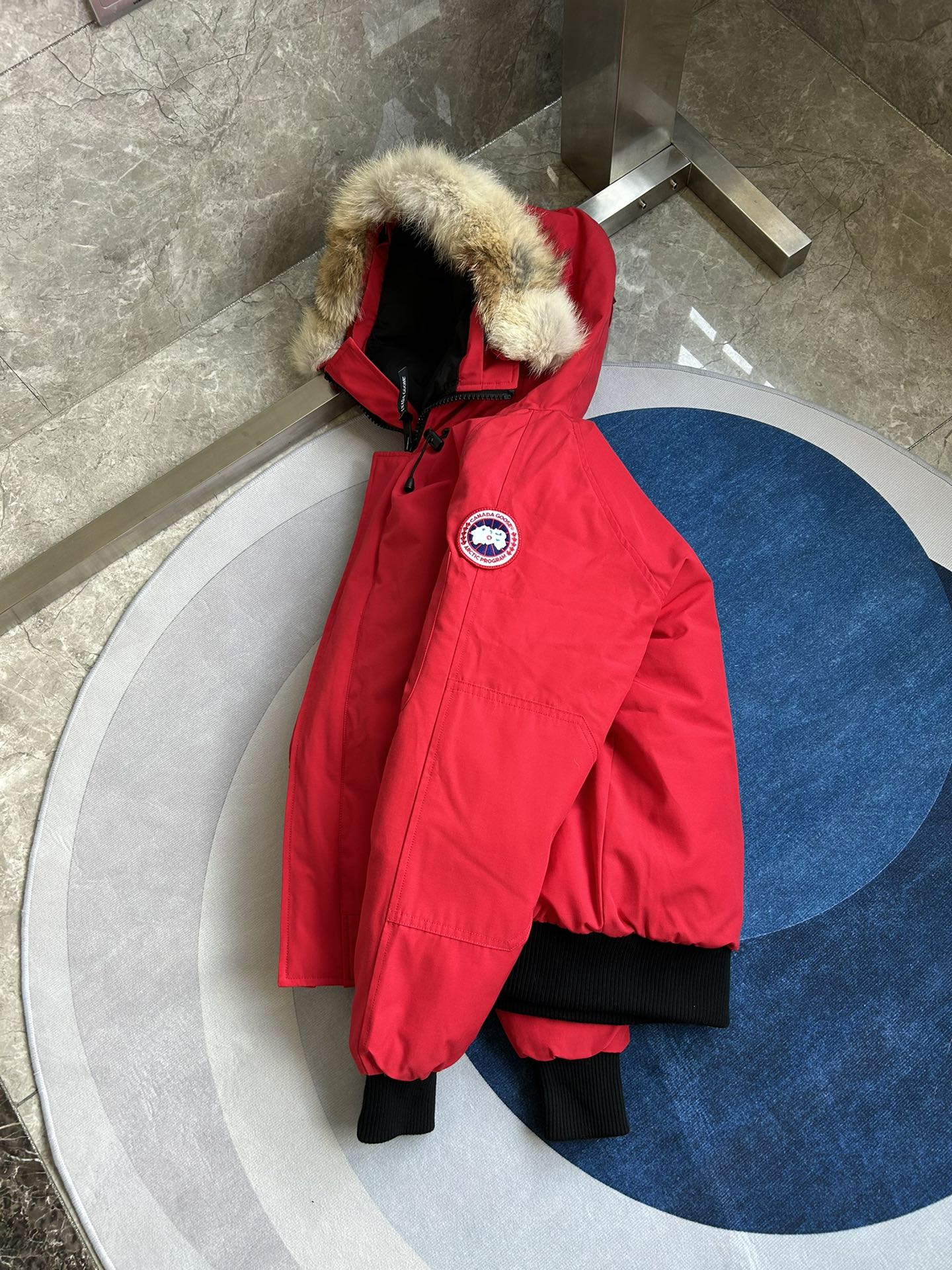 Canada Goose
