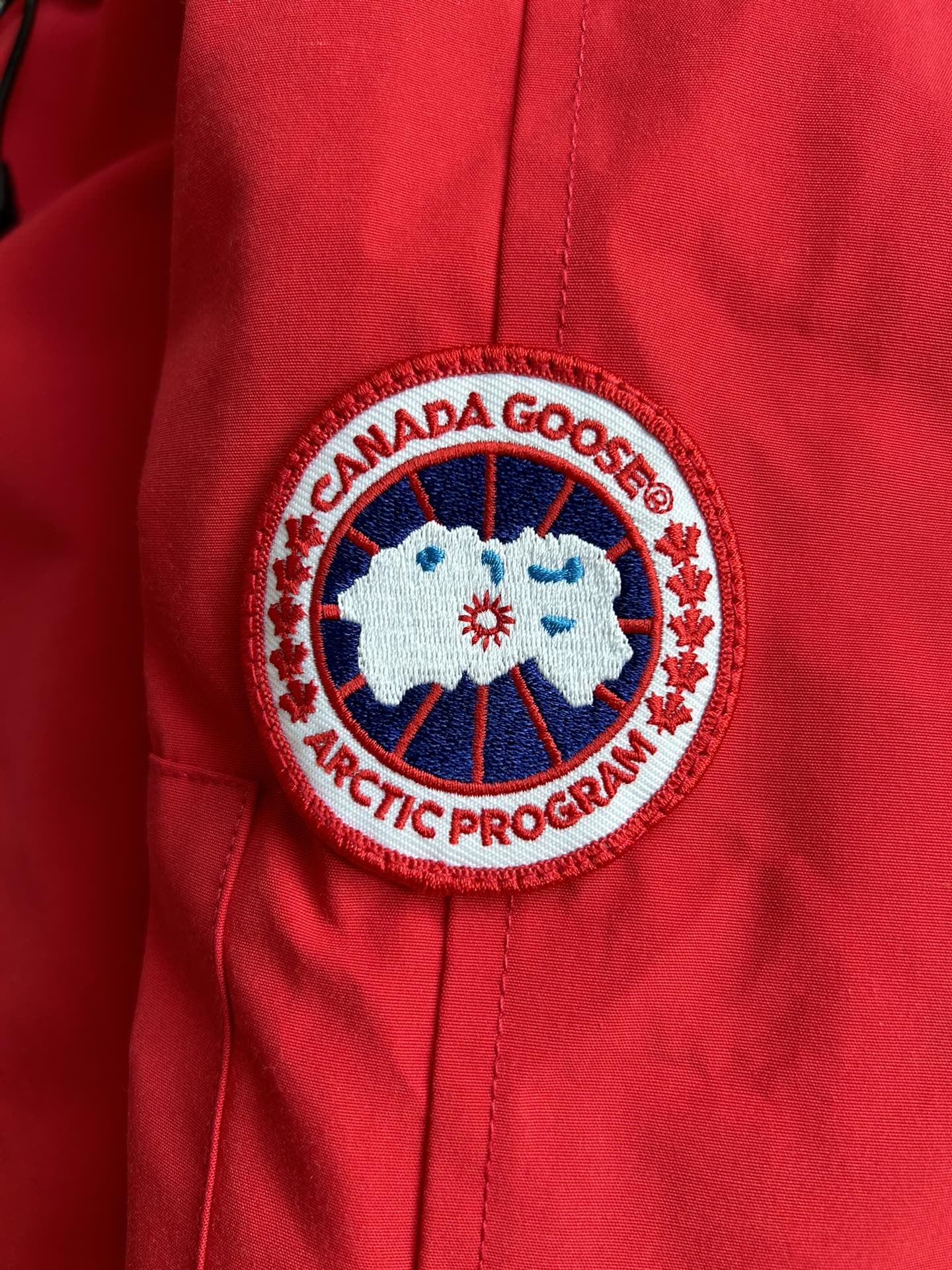 Canada Goose
