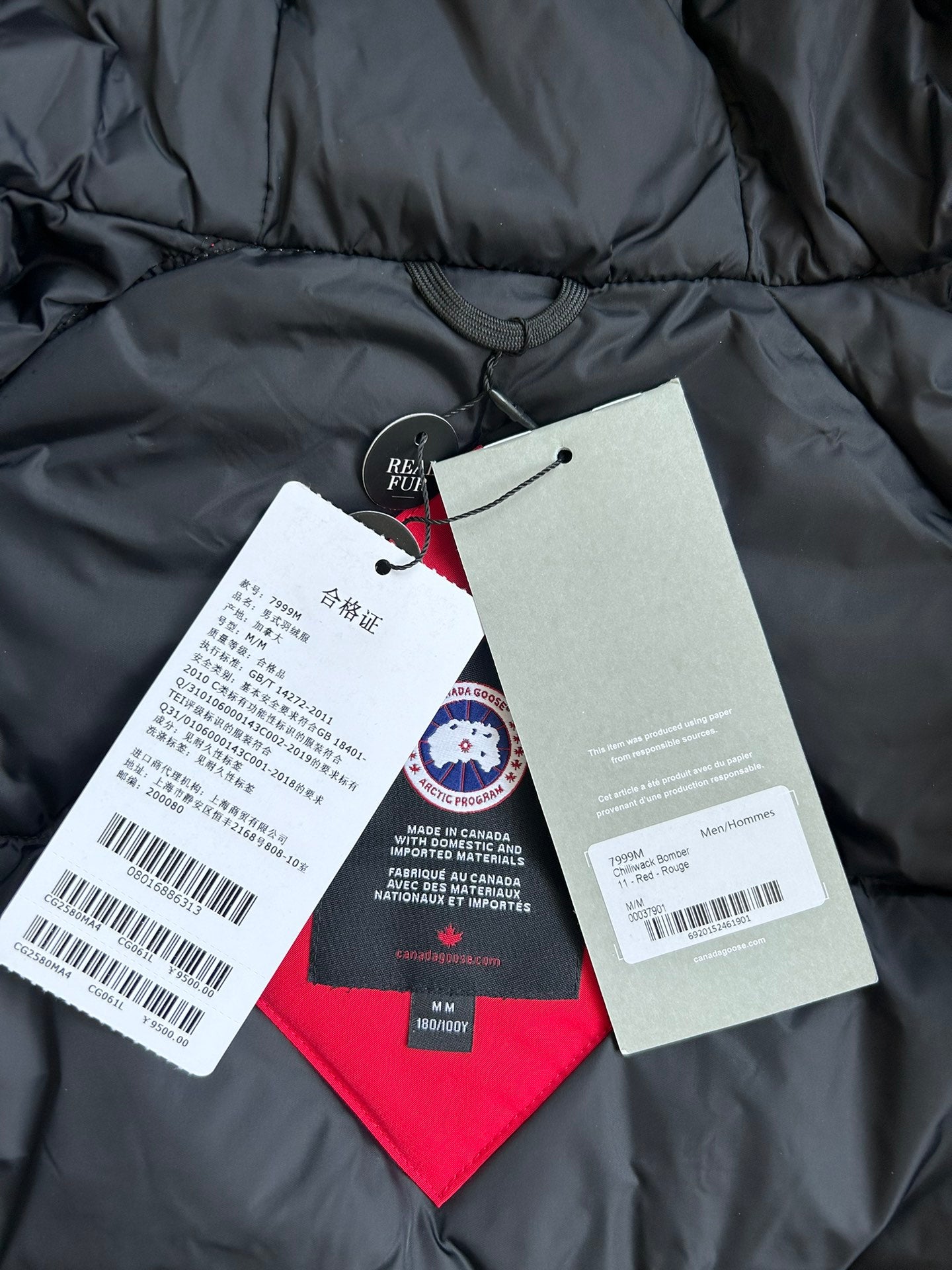 Canada Goose