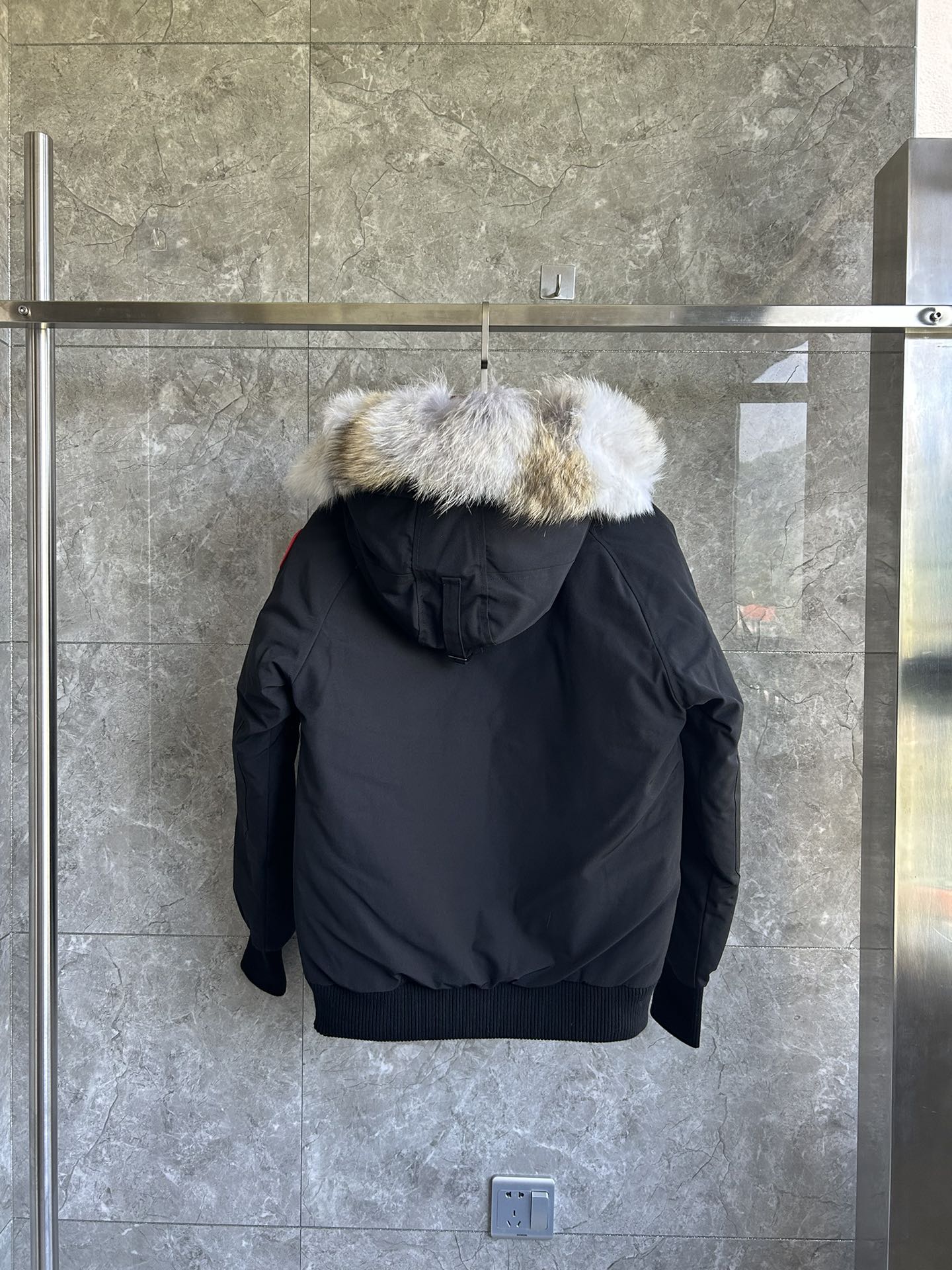 Canada Goose