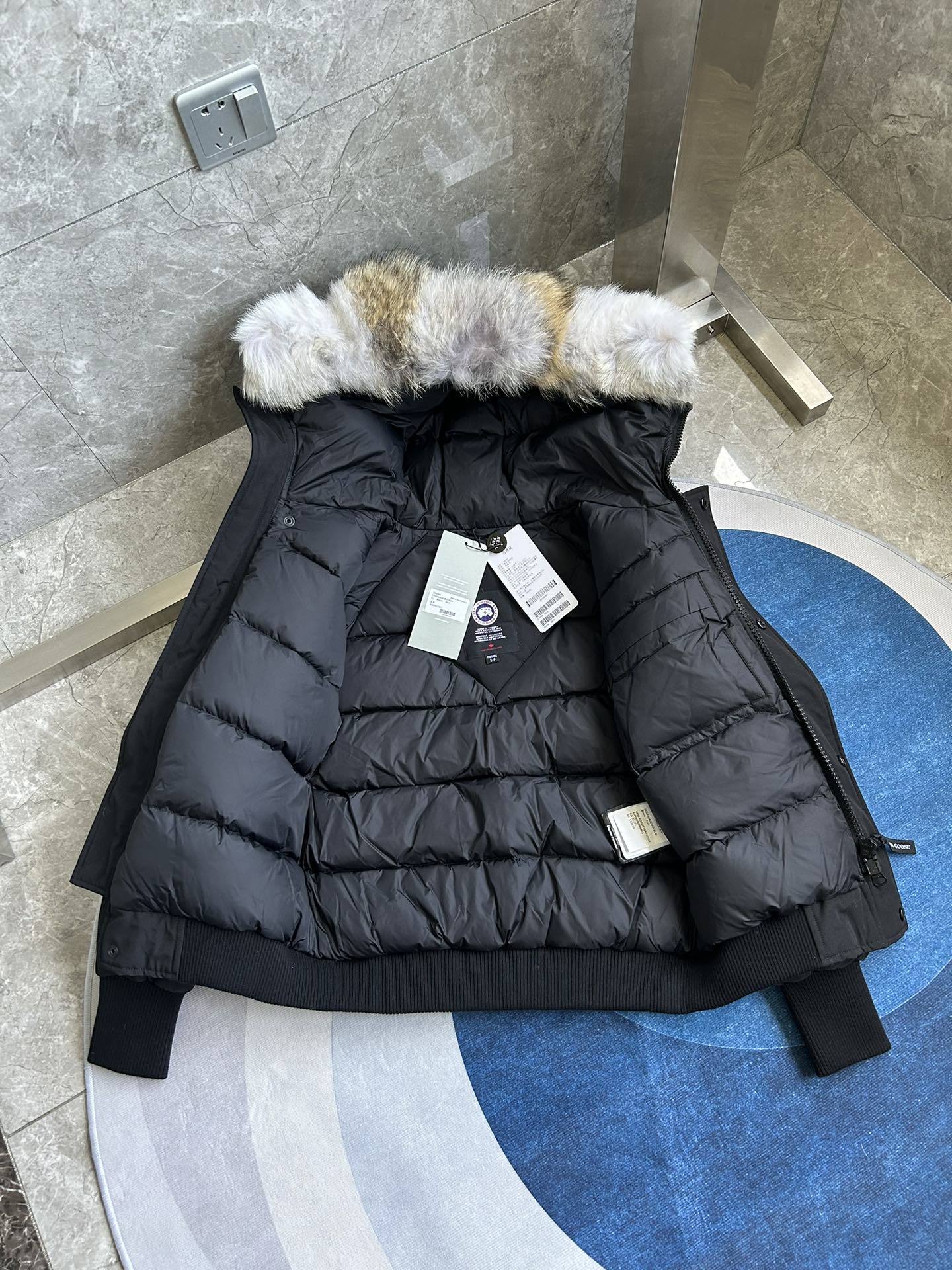 Canada Goose
