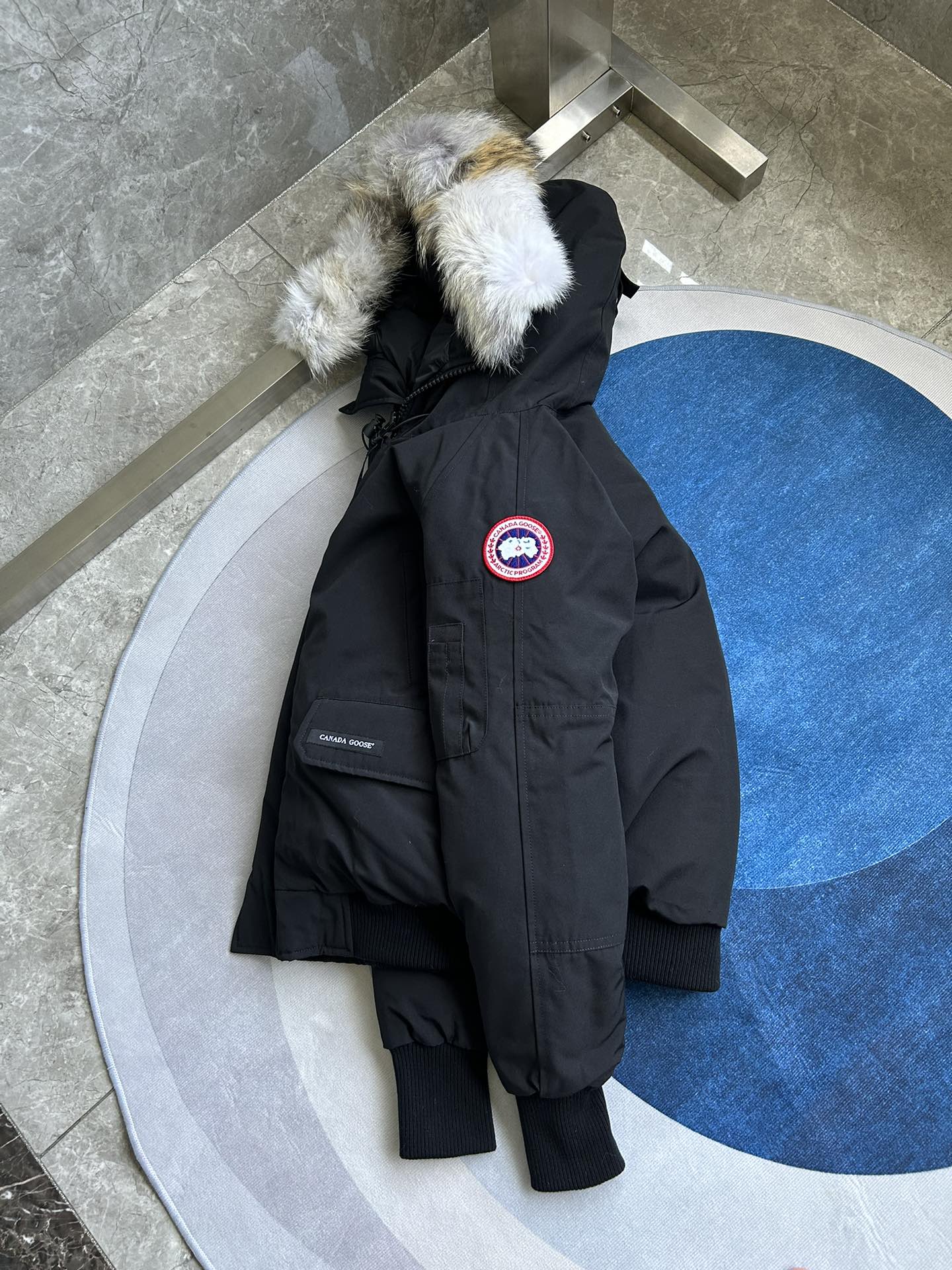 Canada Goose