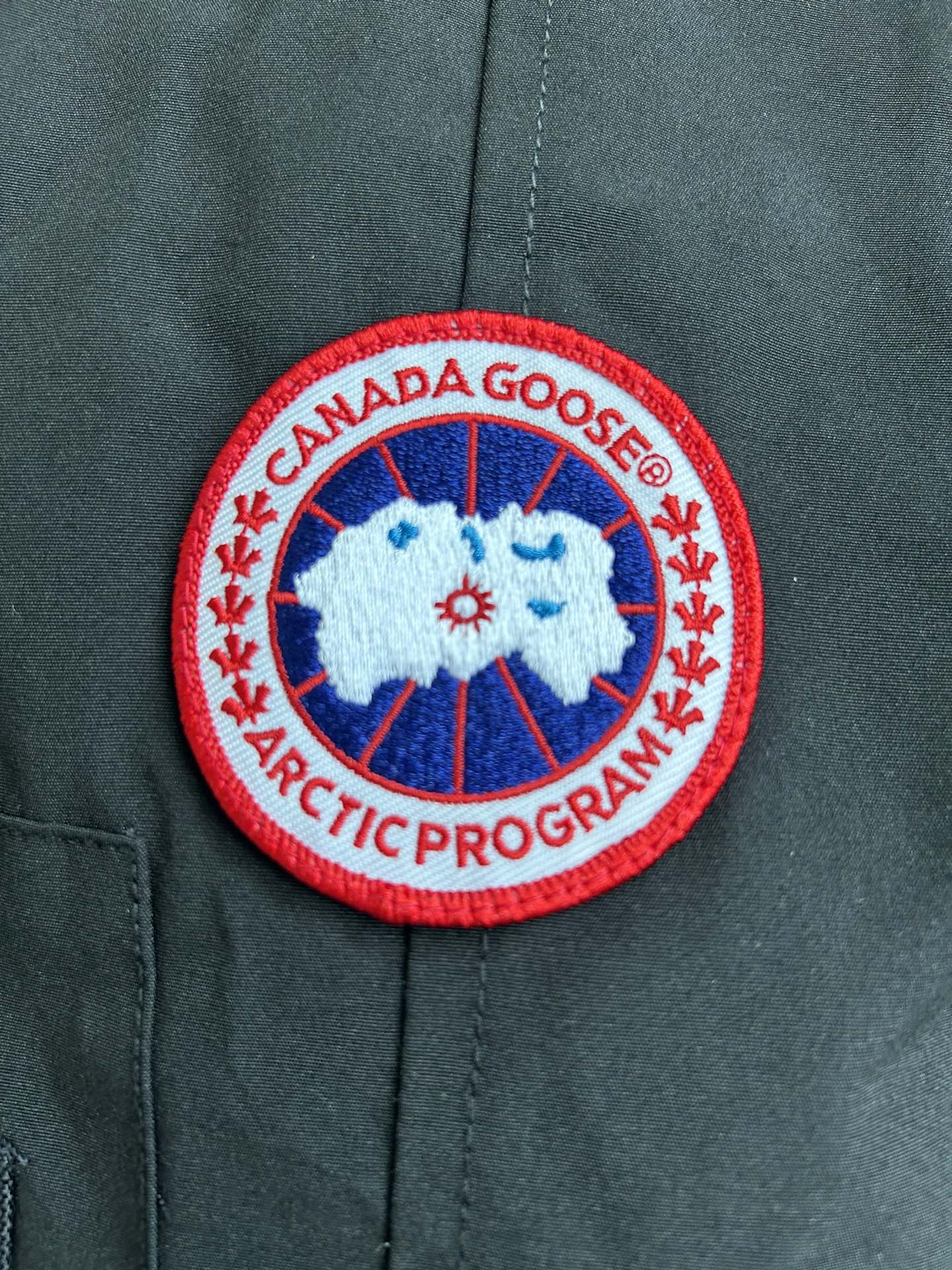 Canada Goose