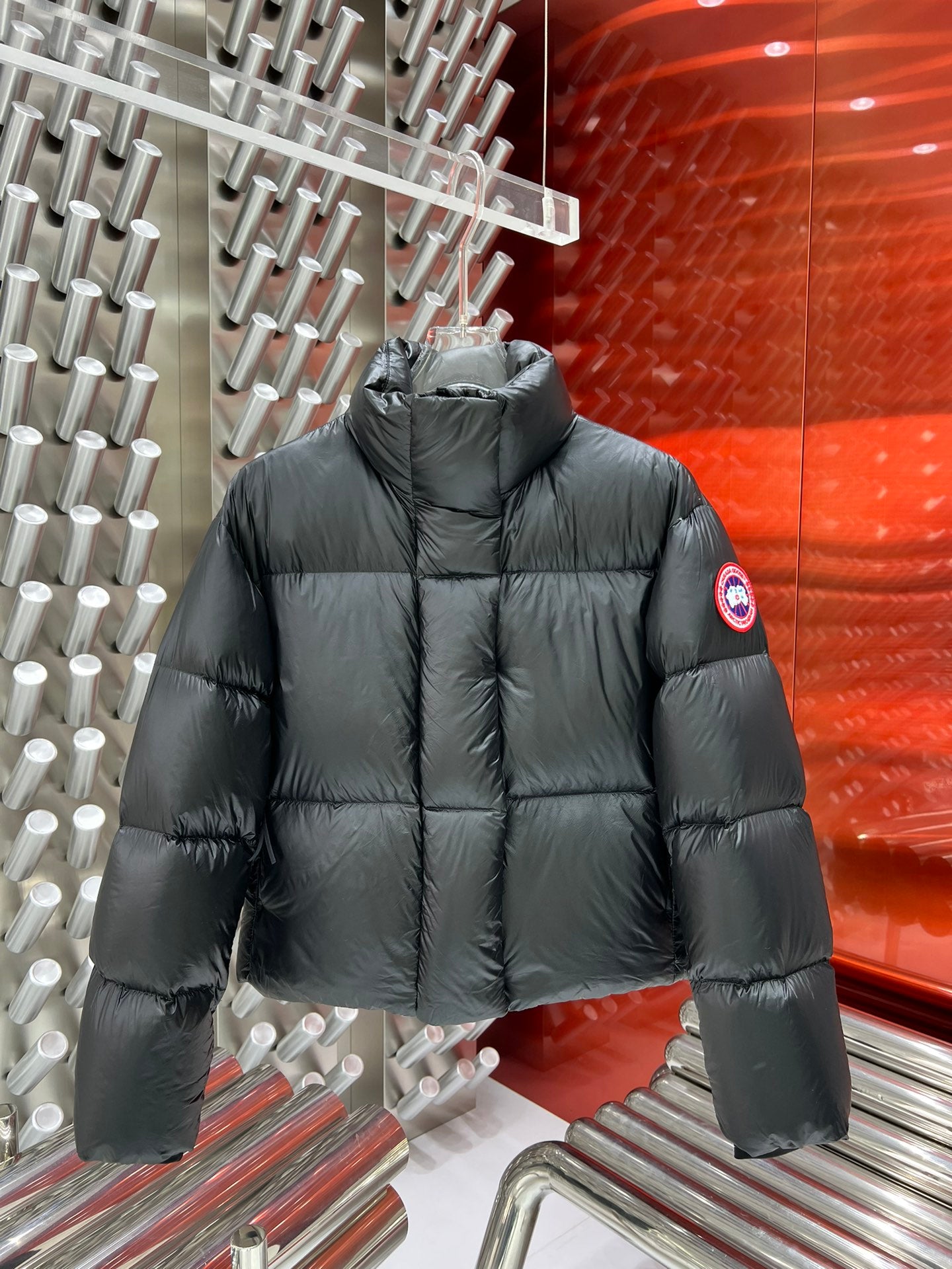 Canada Goose