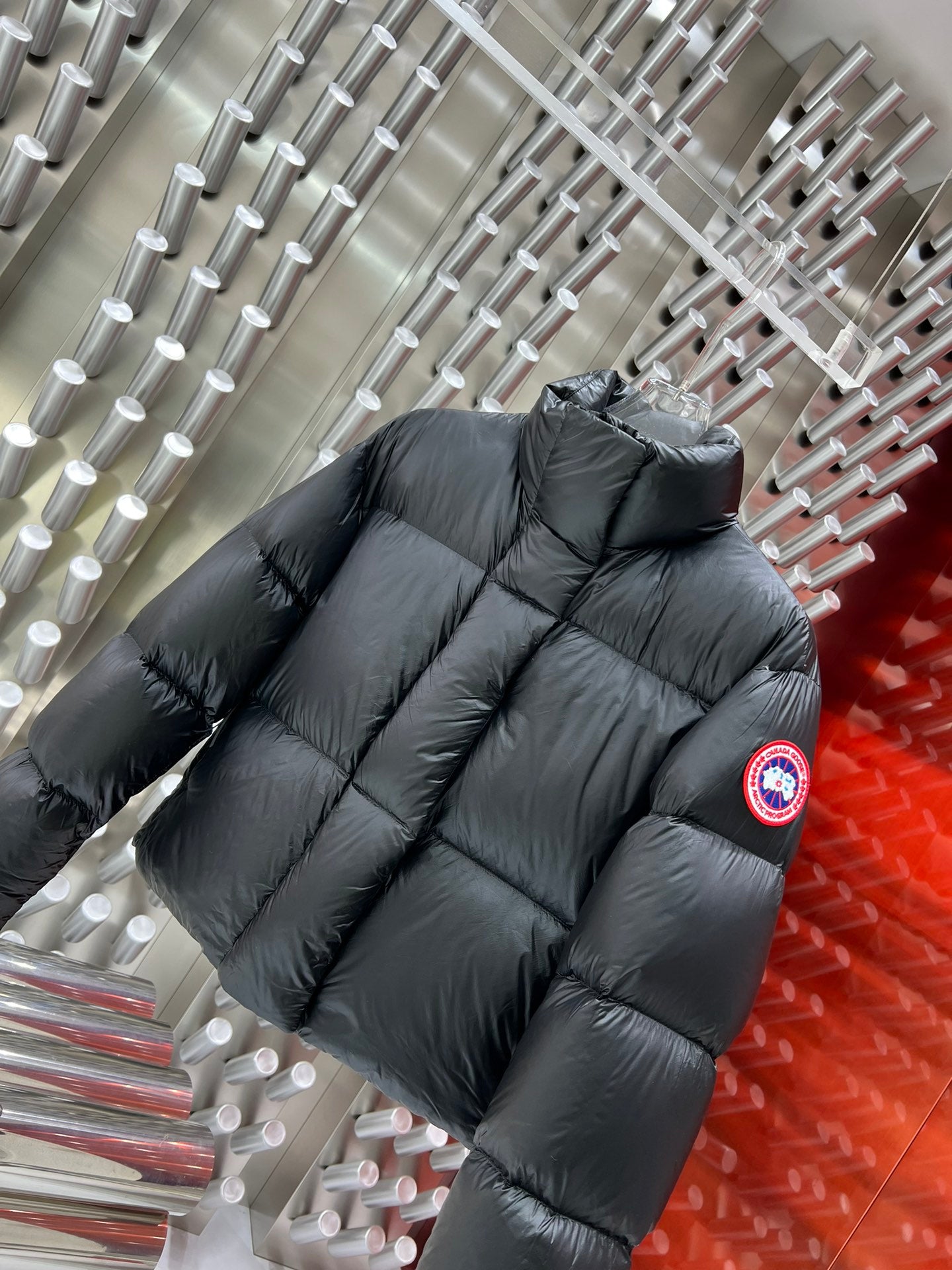 Canada Goose