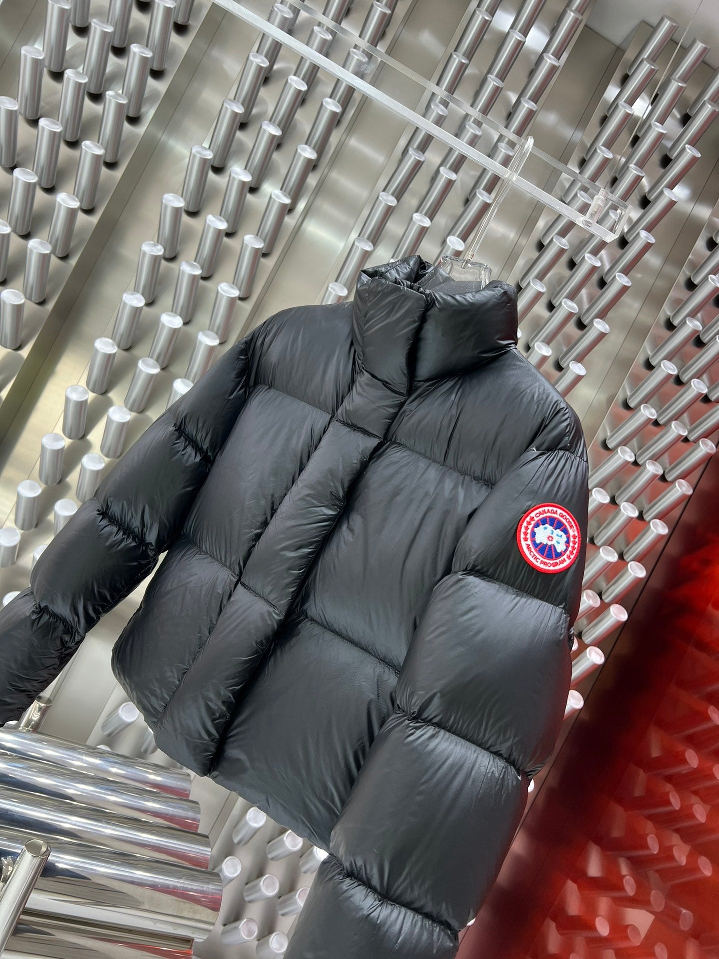 Canada Goose