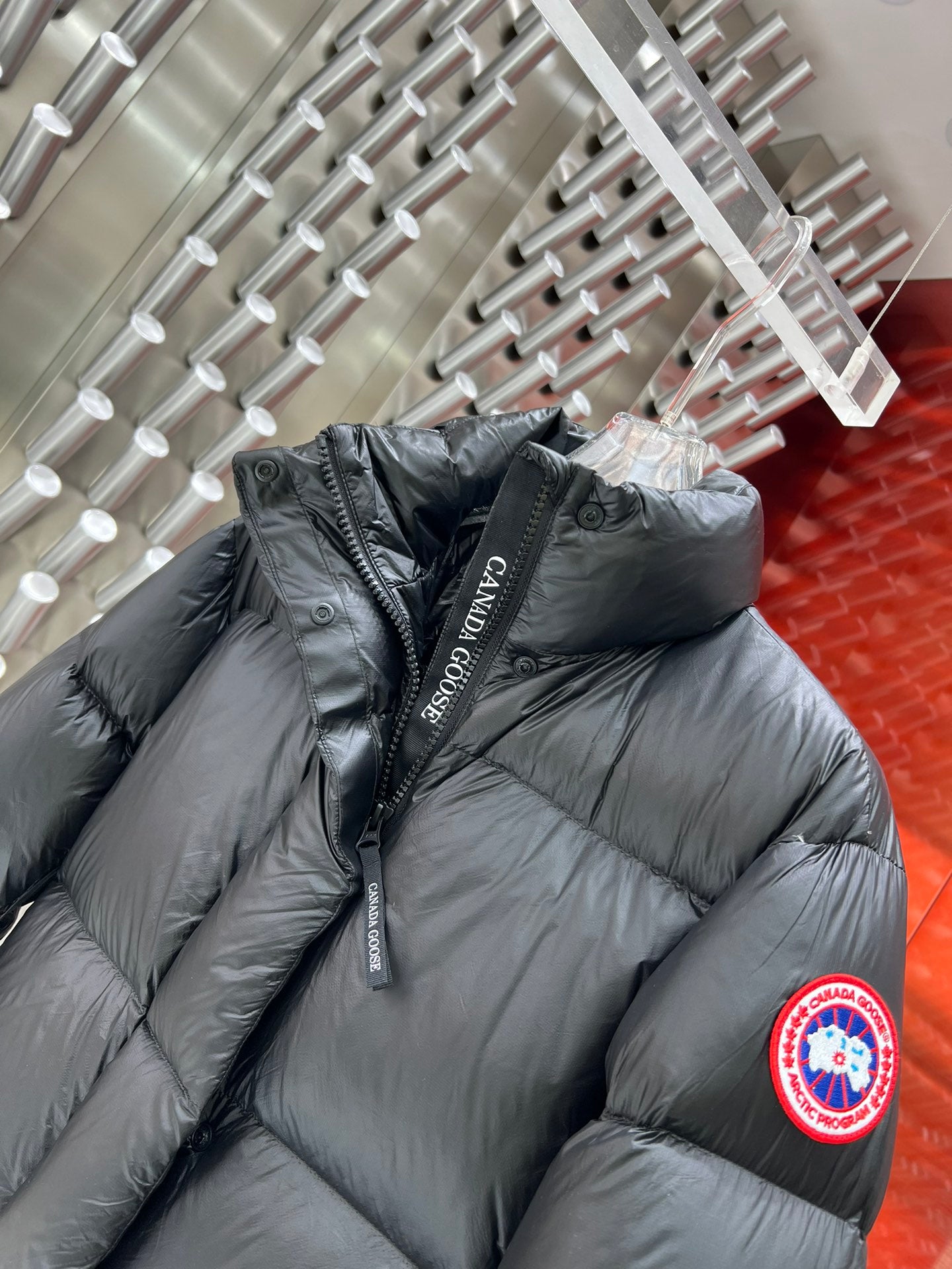 Canada Goose